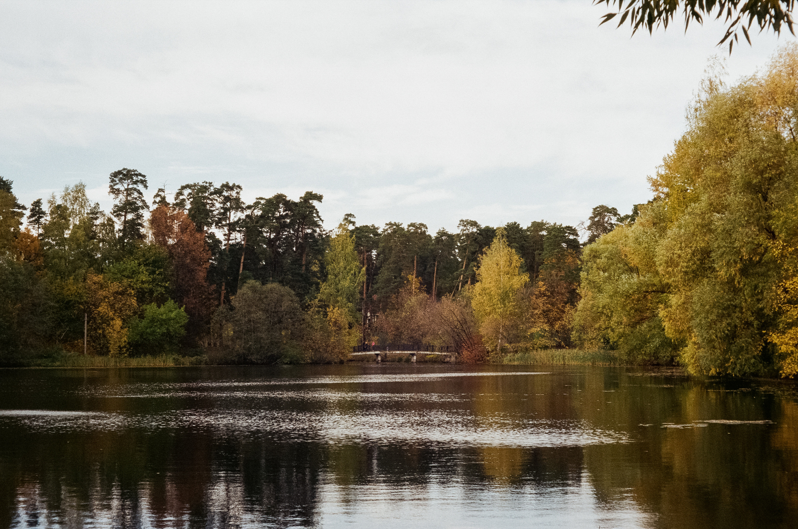 Осень на Kodak Gold 200