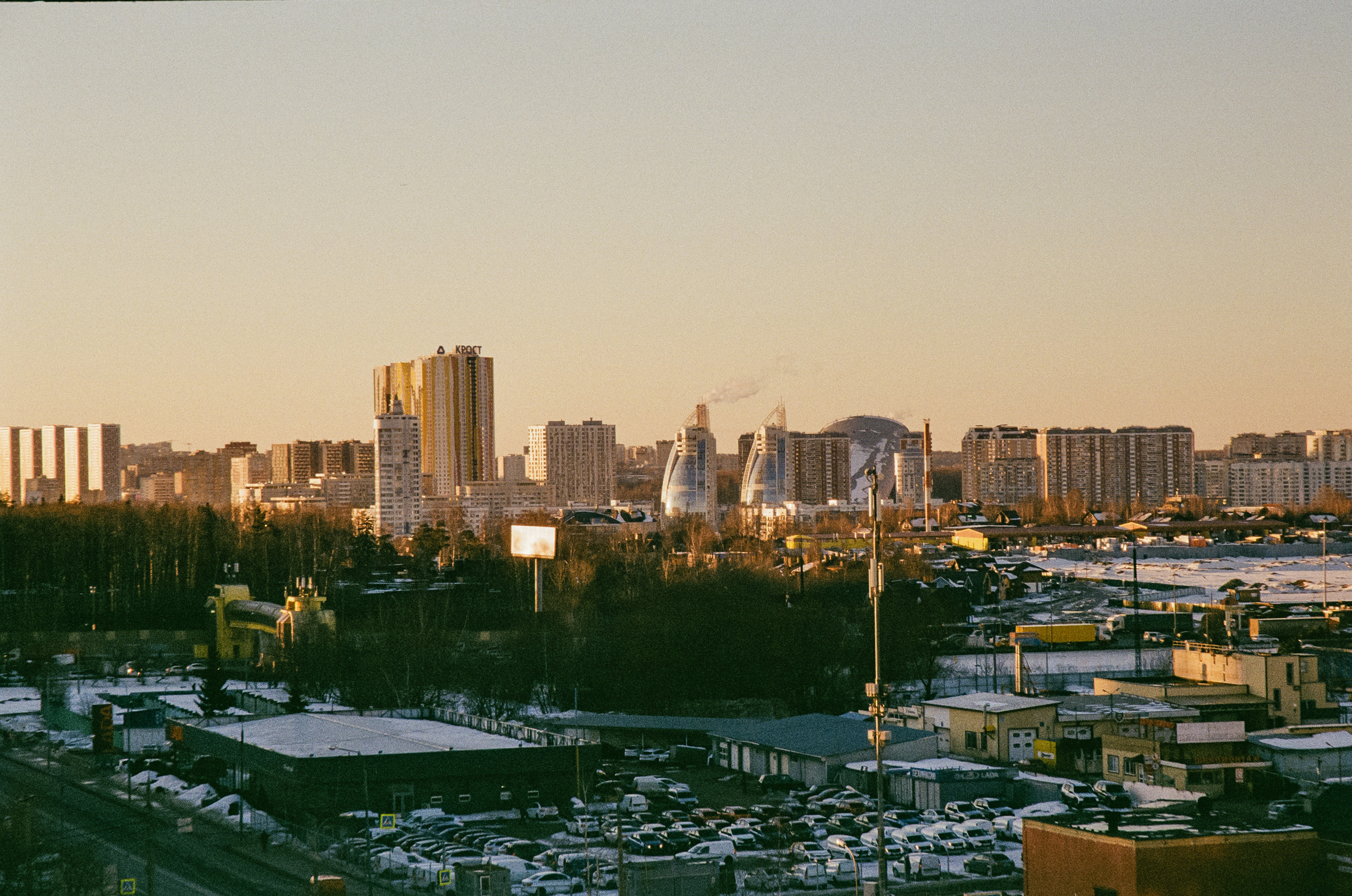 Kodak Ektar 100 / Contax N1