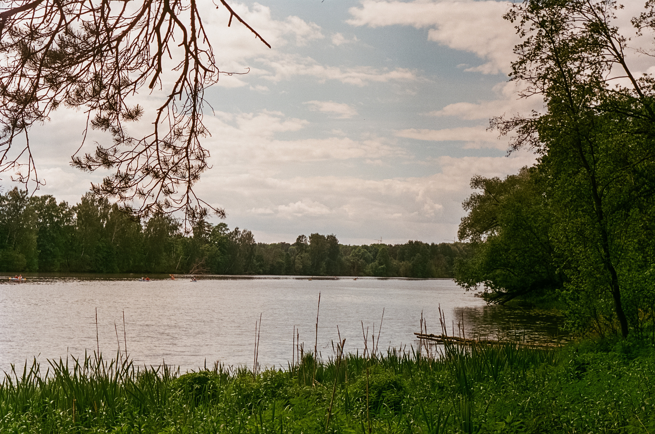 Edixa Reflex-D | Carl Zeiss Jena Biotar 58 mm f2.0 | SFA A-color 125