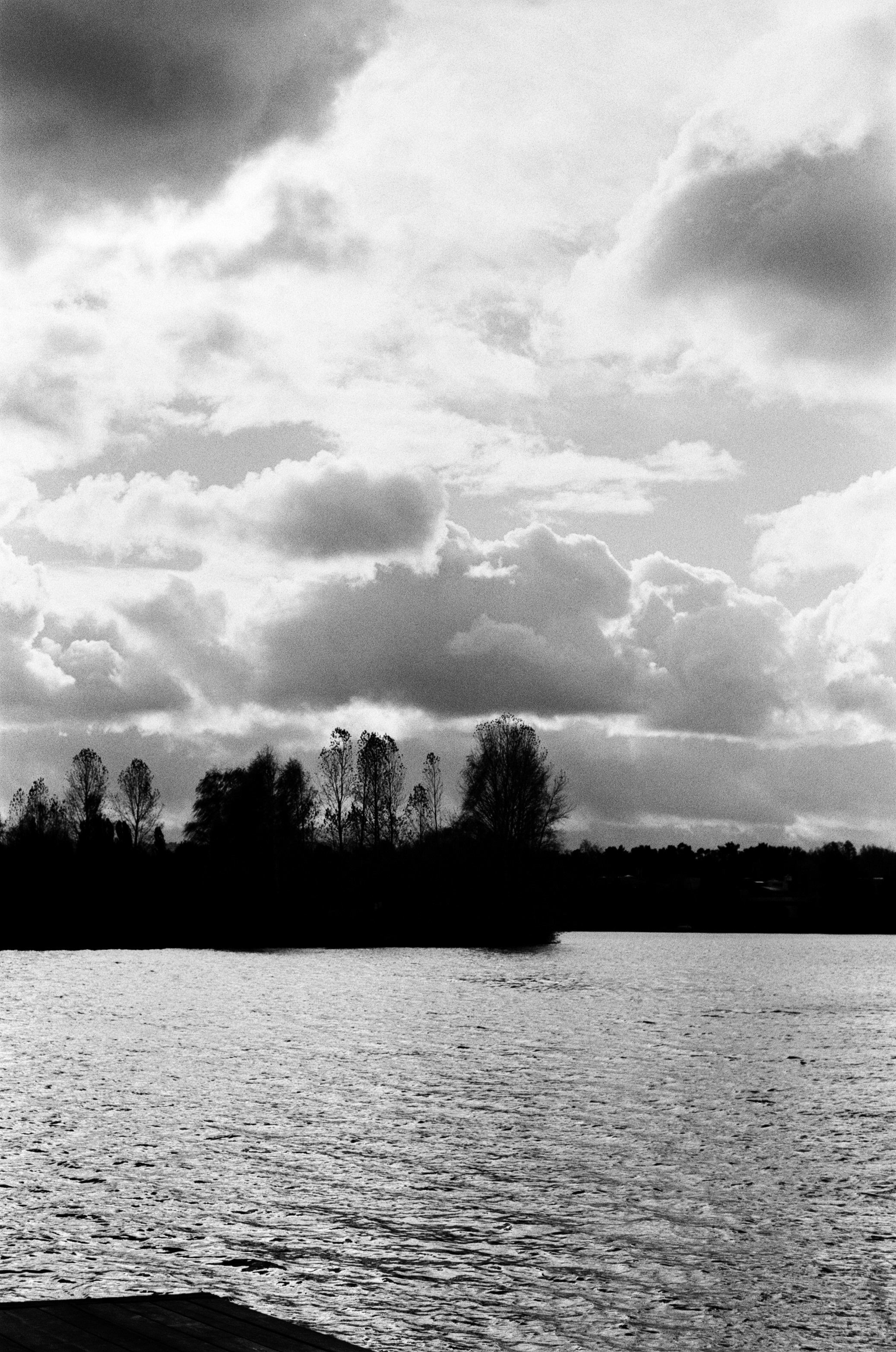 Cosina 55 mm f1.2 — Ricoh XR-10M / Тасма Тип-42 ISO 100