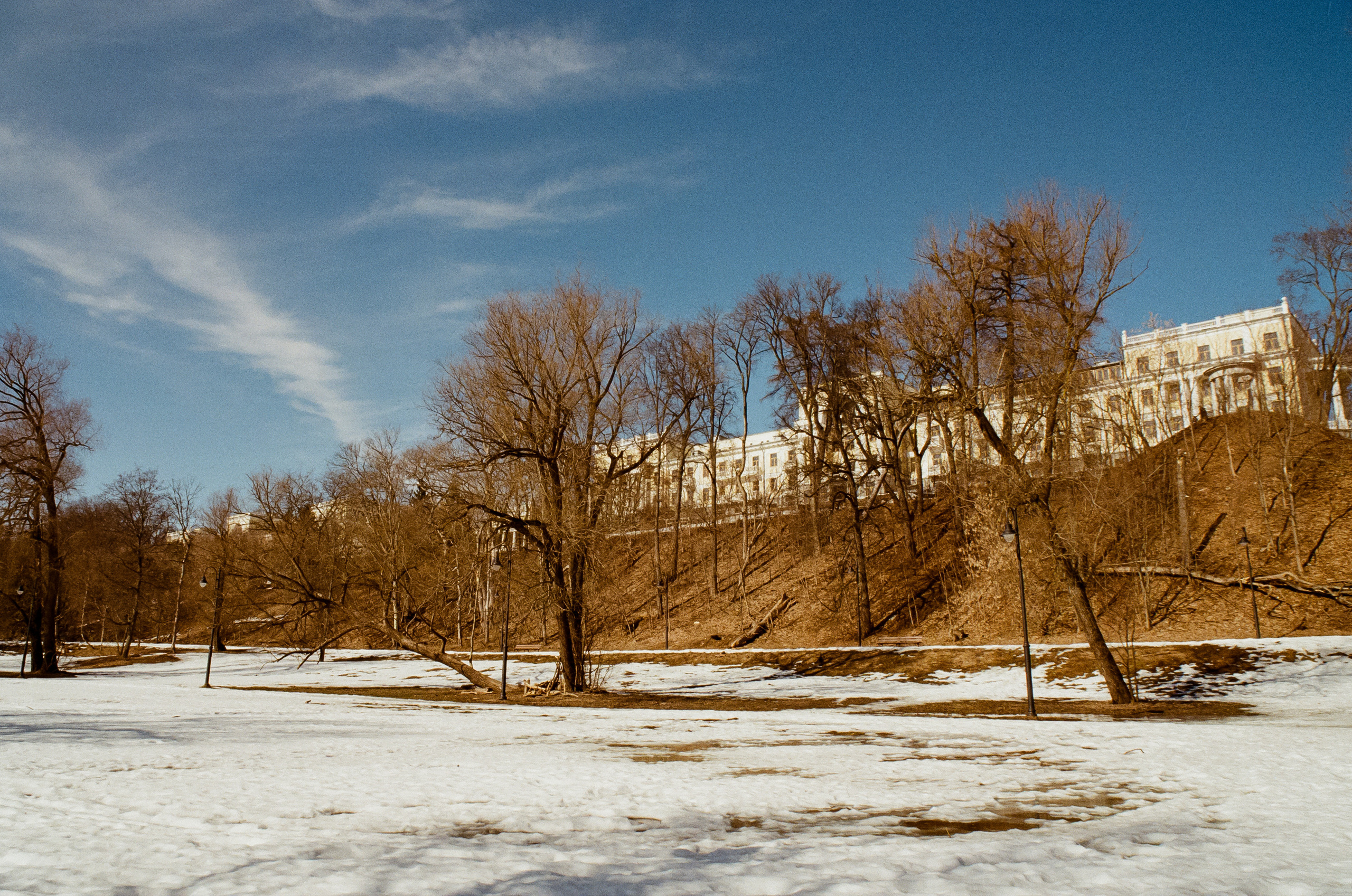 Kodak Ektar 100 / Contax N1