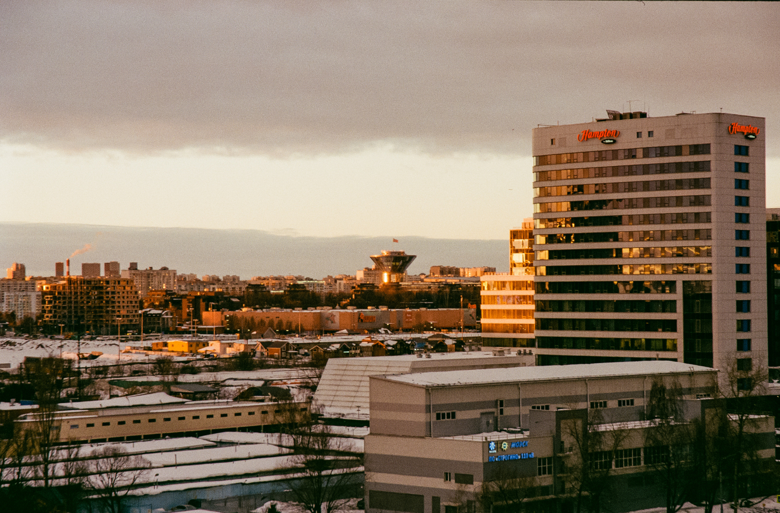 Kodak Ektar 100 / Contax N1