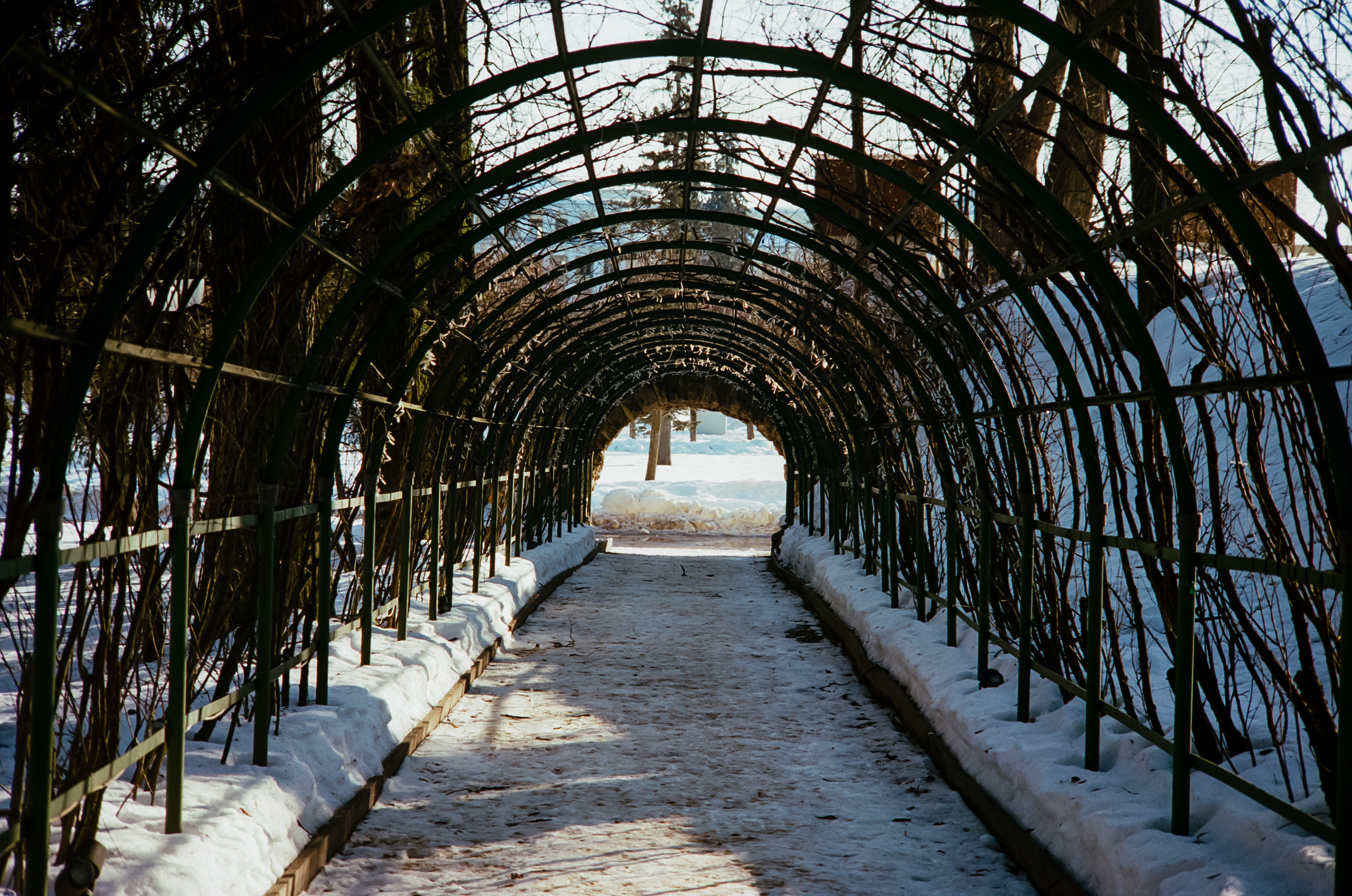 Kodak Retina Longar (Xenon C) 80mm f4 