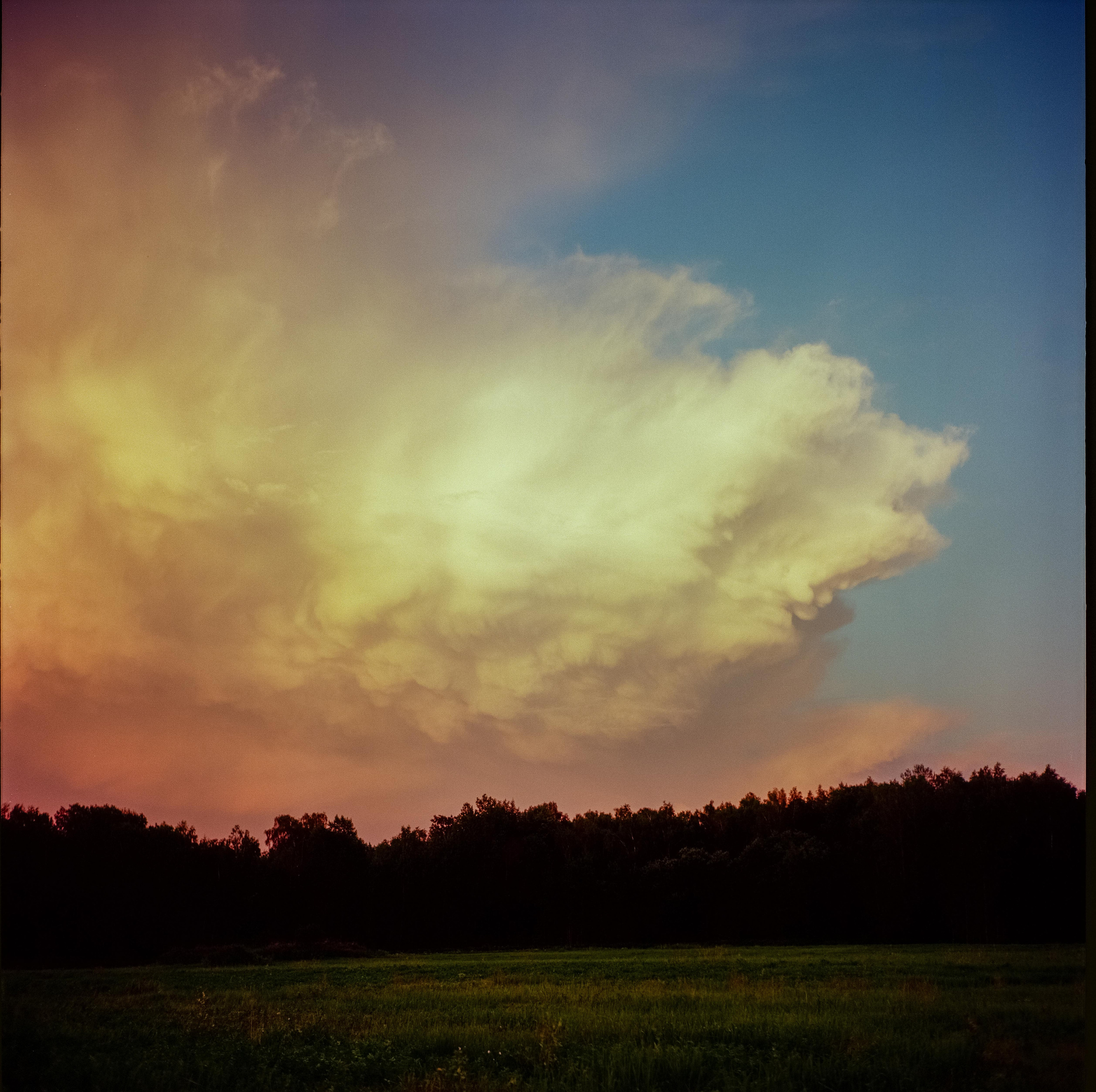 Yashica Mat-124 / Kodak Ektar 100