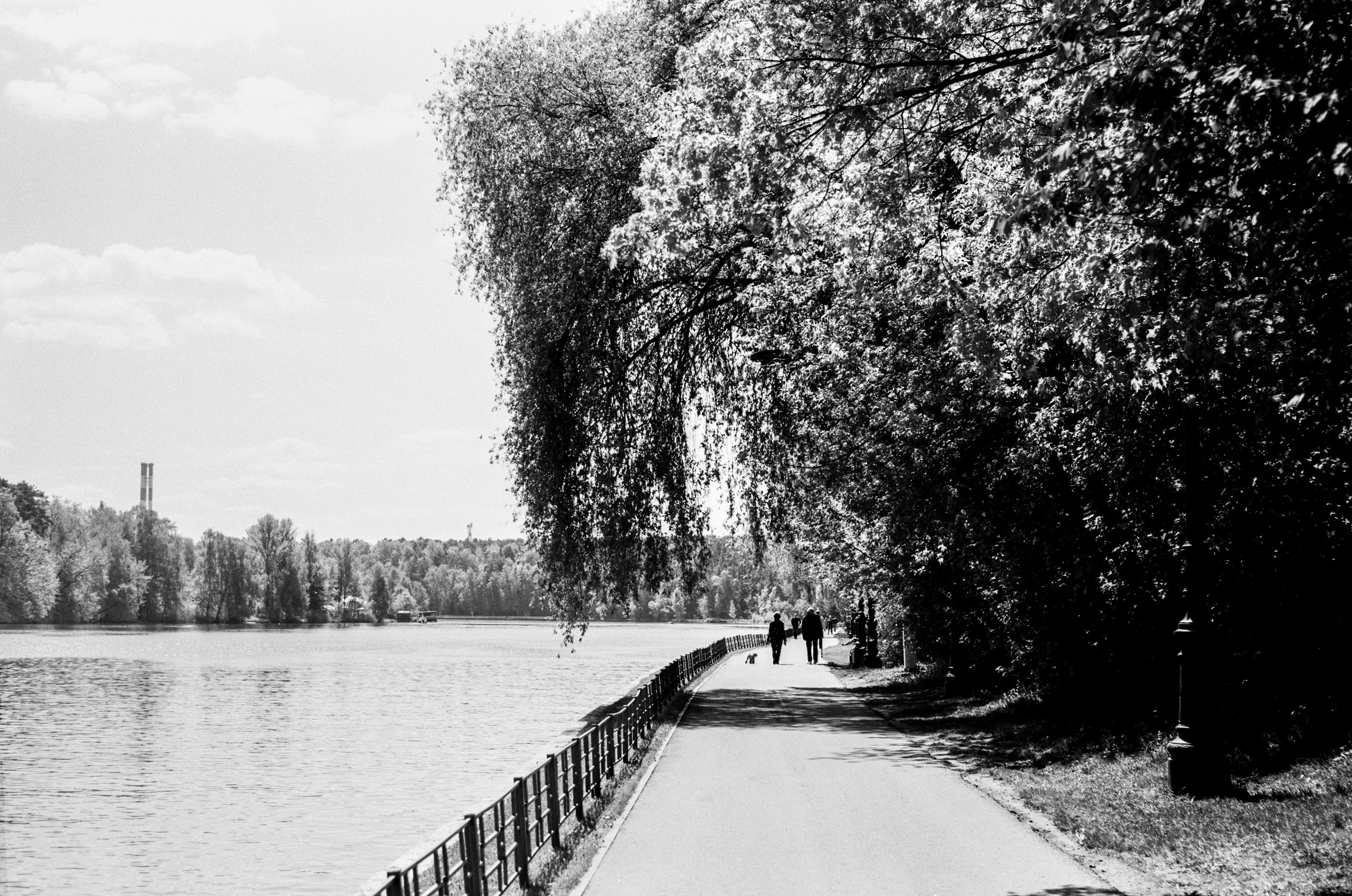 Kodak Retina Reflex S обзор