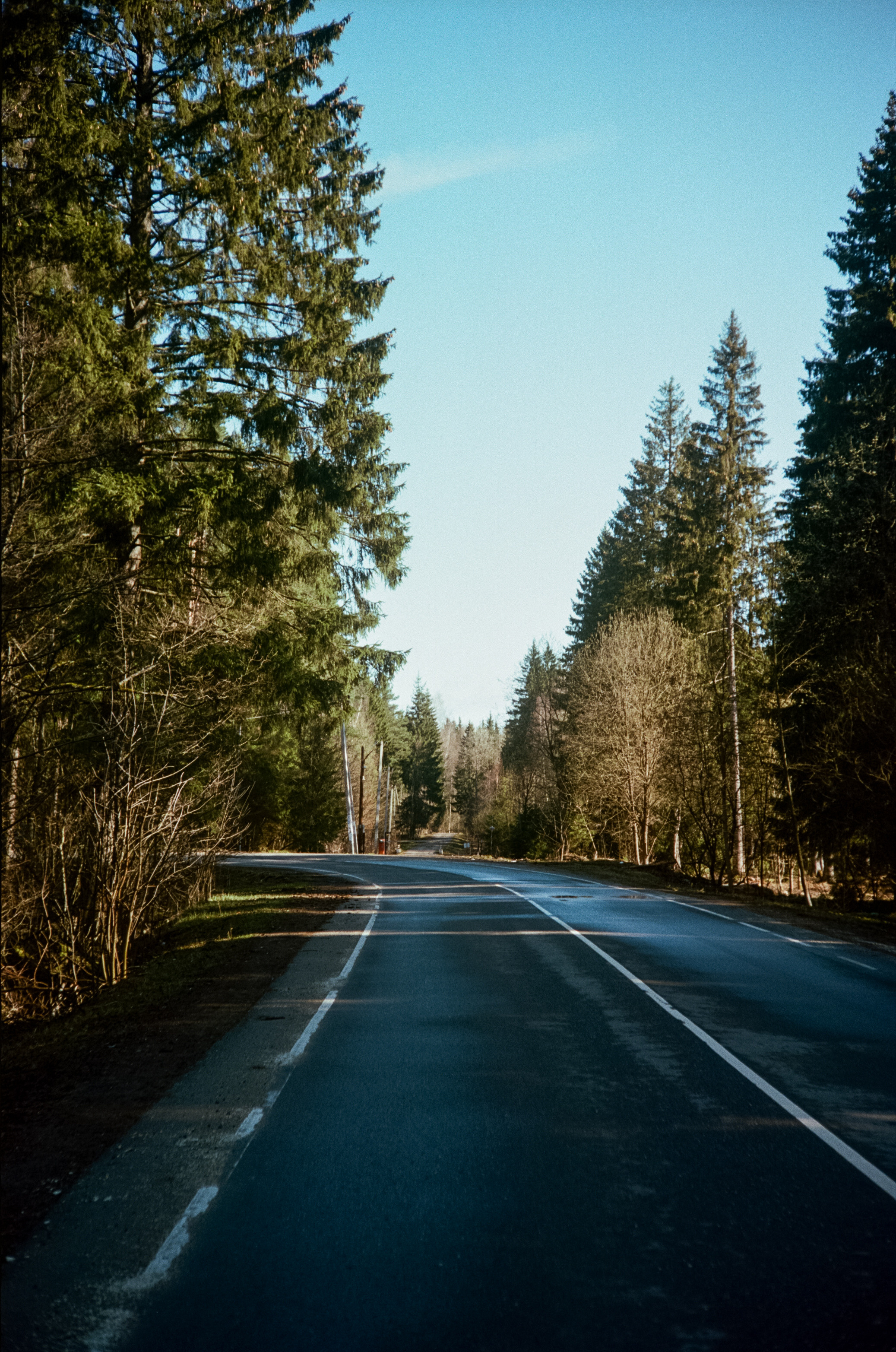 Kodak Portra 160 / Walz Envoy 35