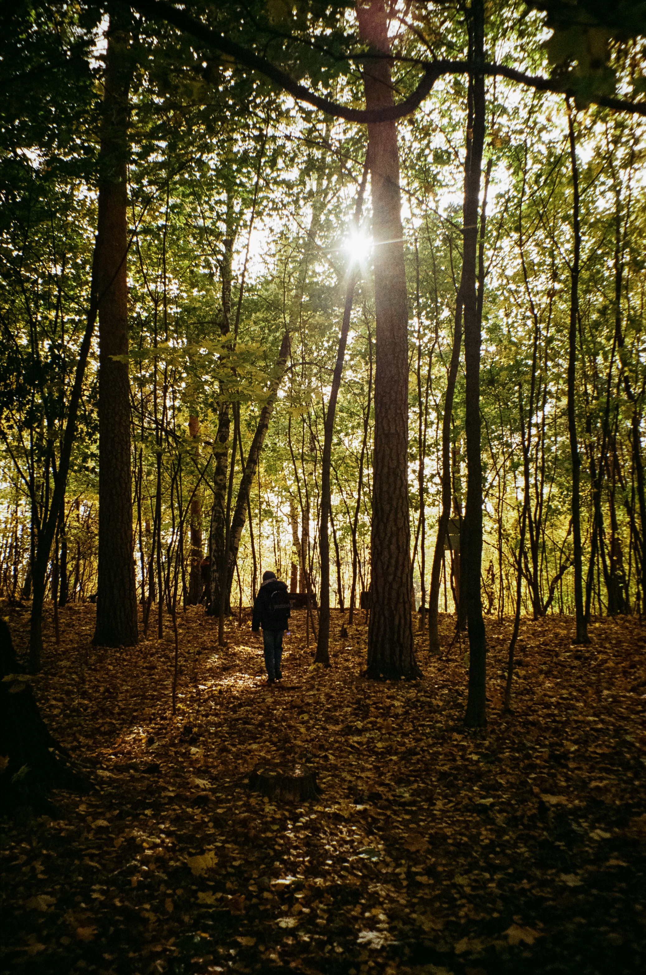 Осень на Kodak Gold 200