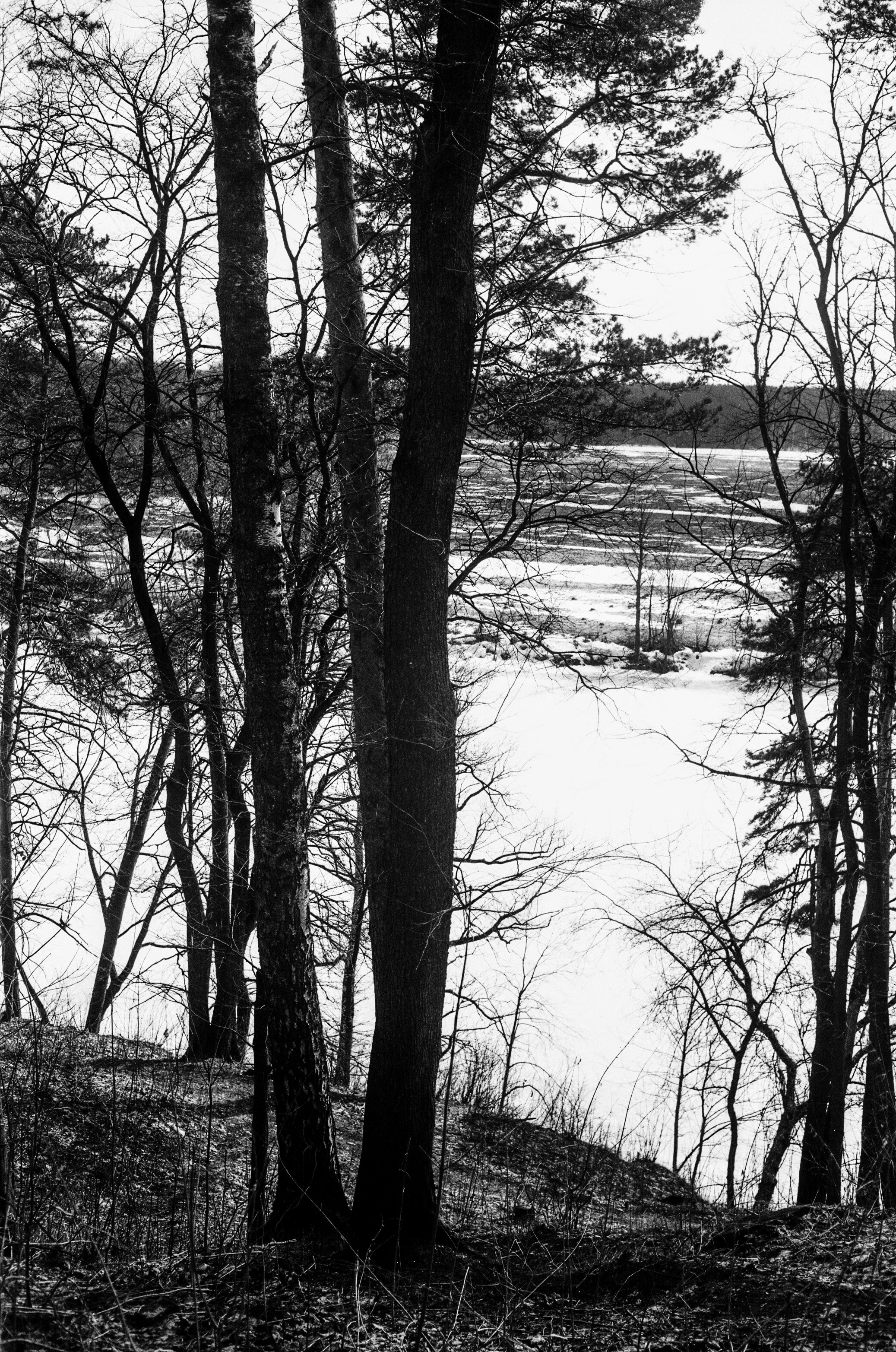 Minolta V2 / ТАСМА Тип-25