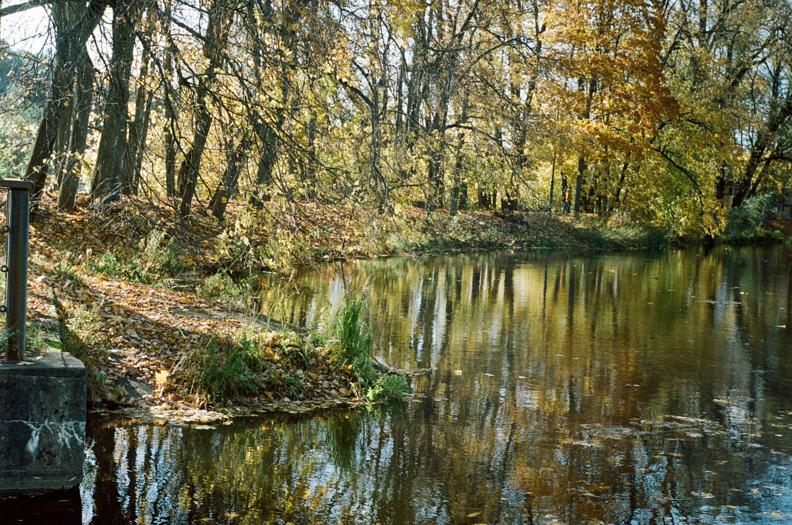 Enna Munchen Ennalyt 50mm f1.9 примеры фотографий