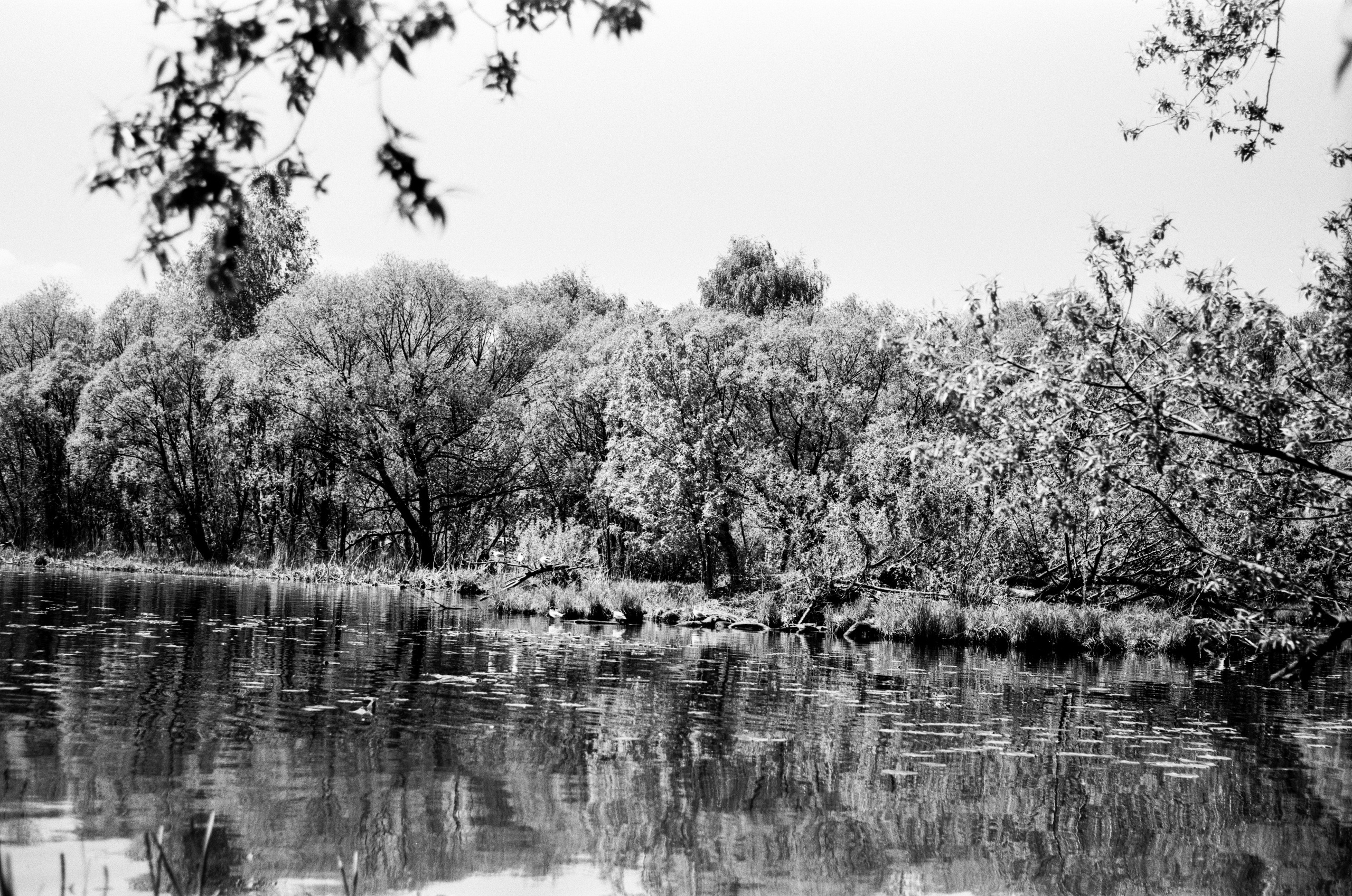 ADOX HR-50 обзор