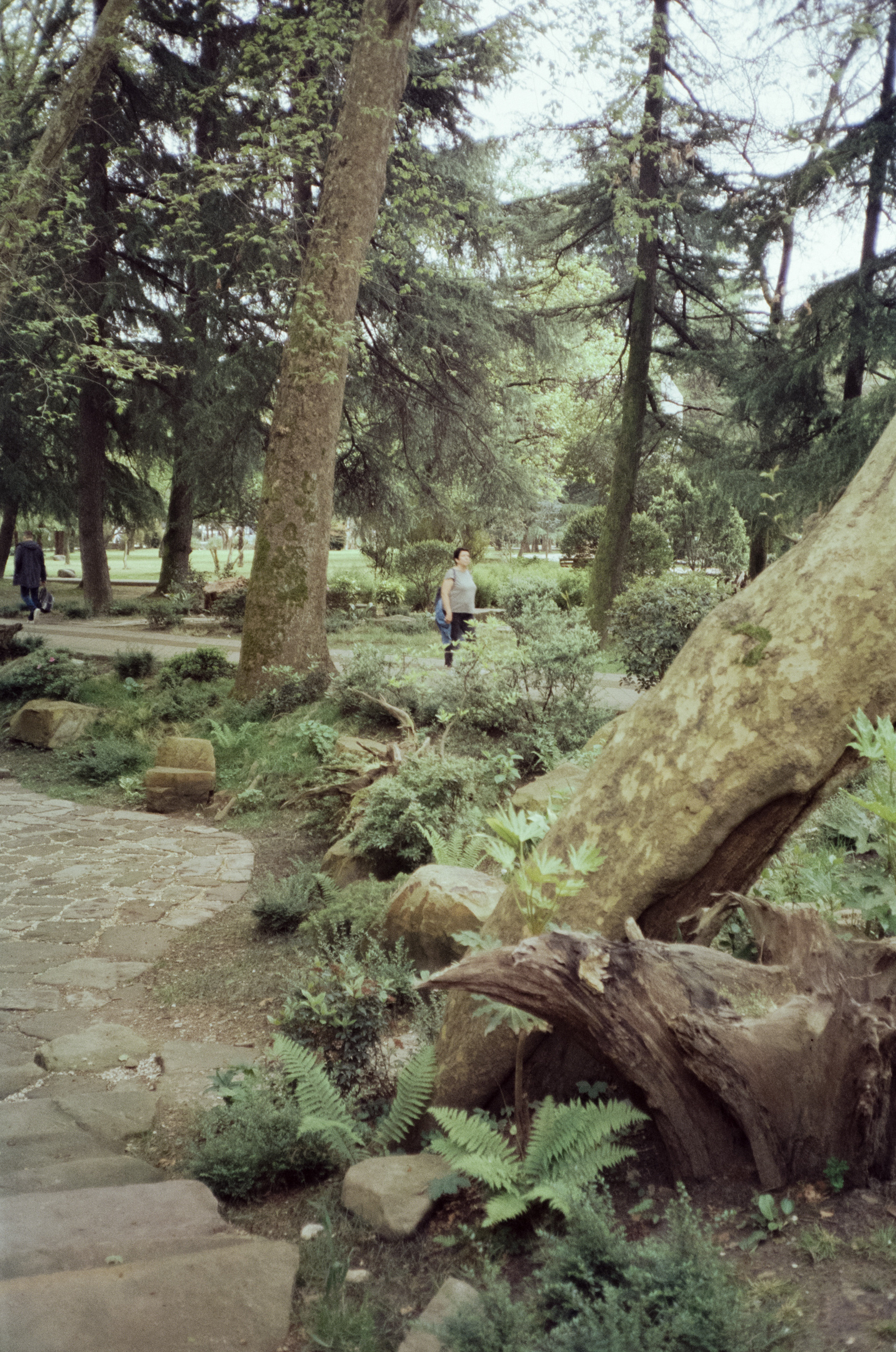 Комсомольский парк, Морской Порт Сочи — Revue 35 СС