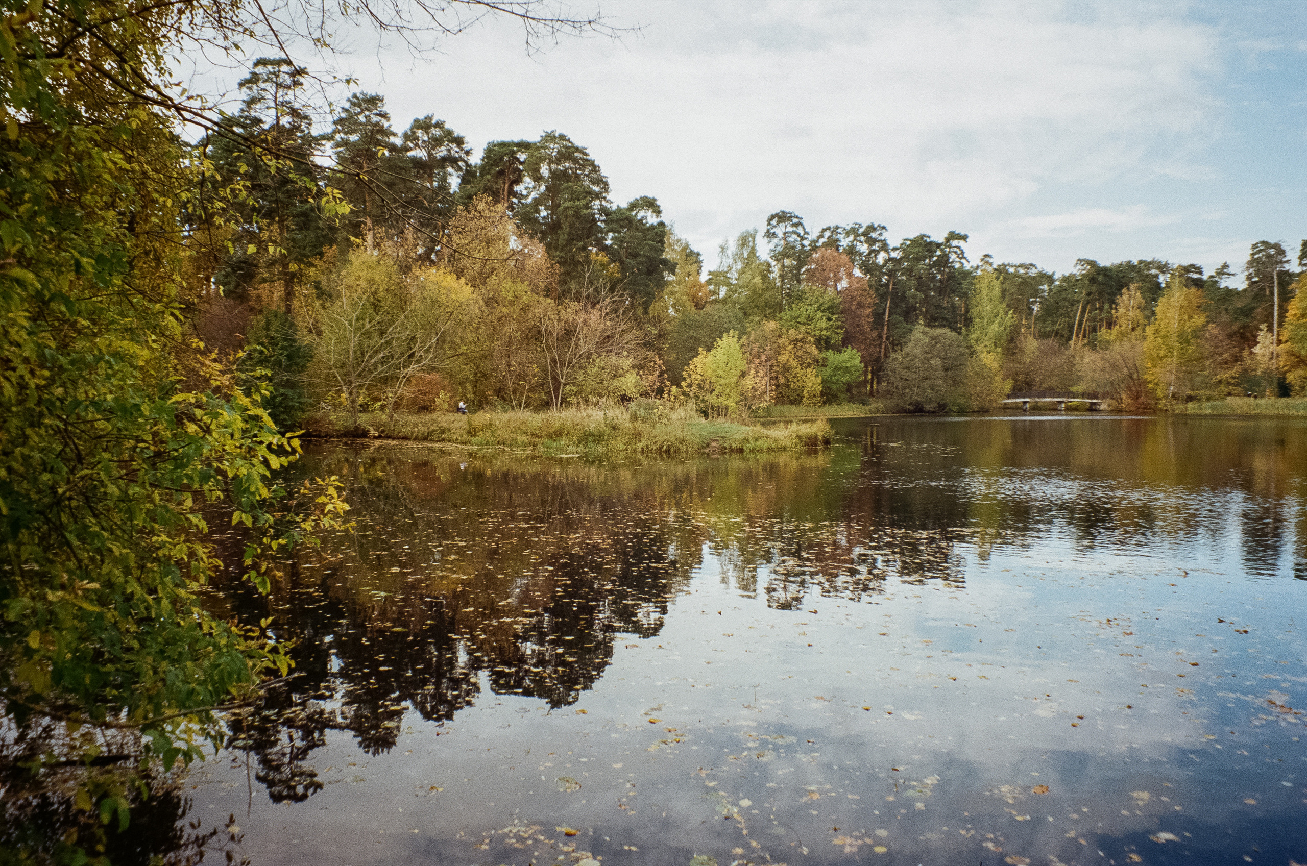 Осень на Kodak Gold 200
