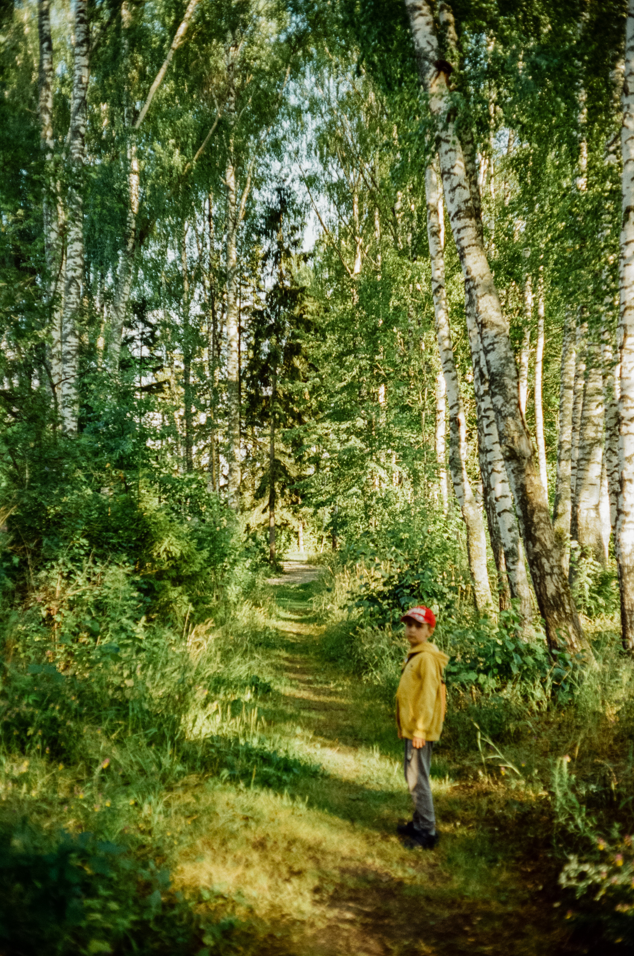 Canon Canonet QL17 G-III QL