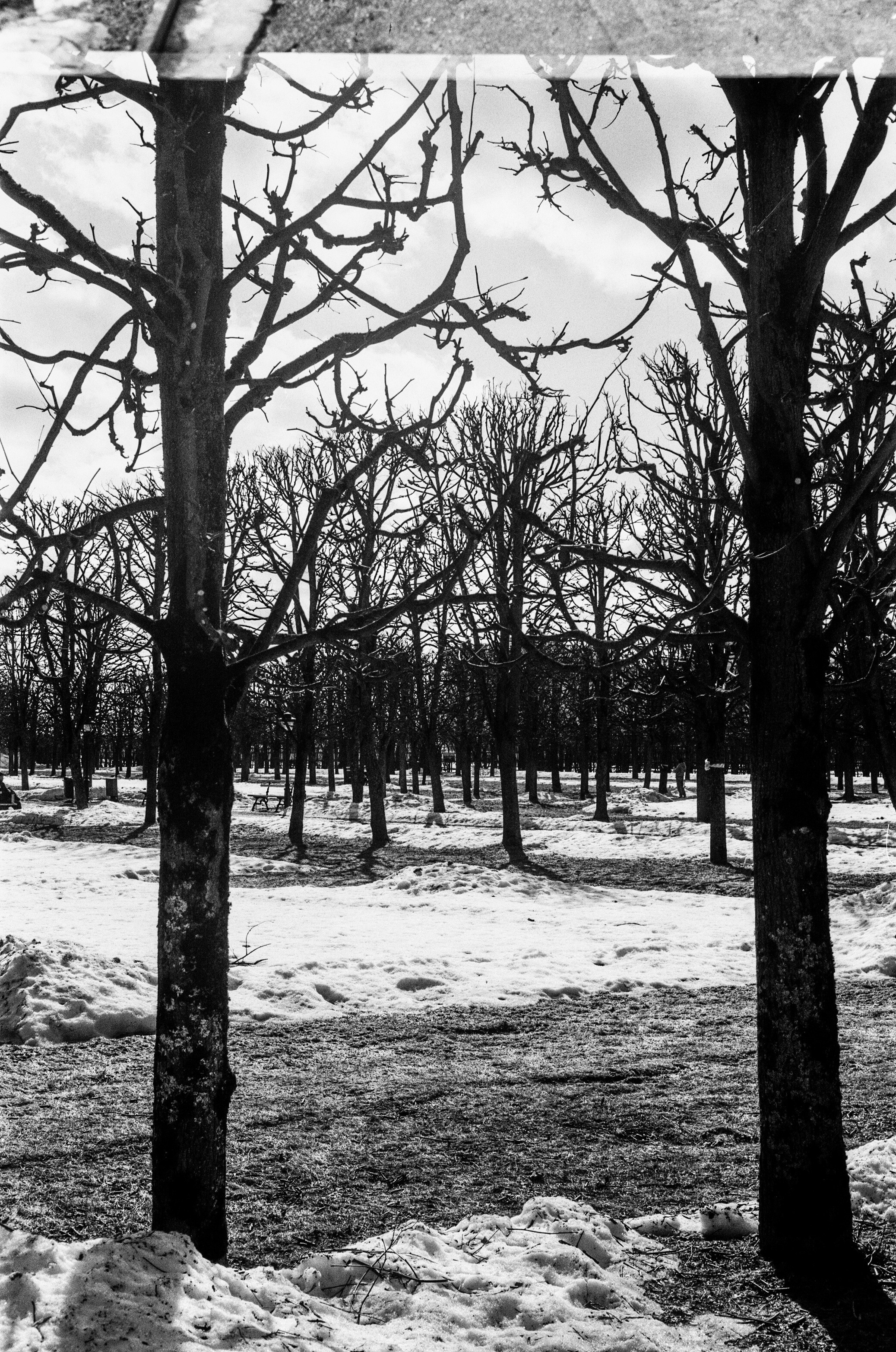 Minolta V2 / ТАСМА Тип-25