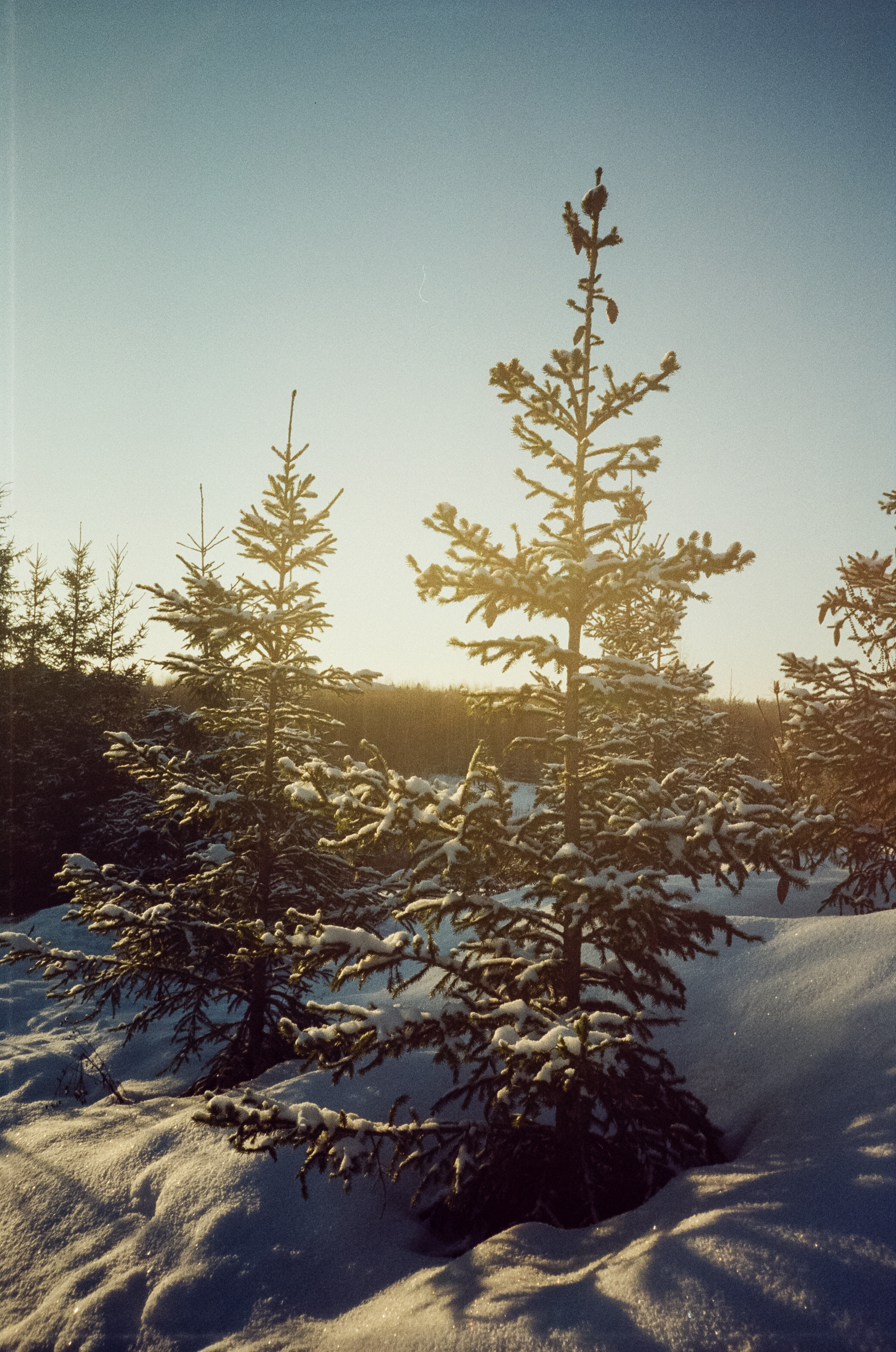 Kodak Vision 3 250D / Revue 35CC