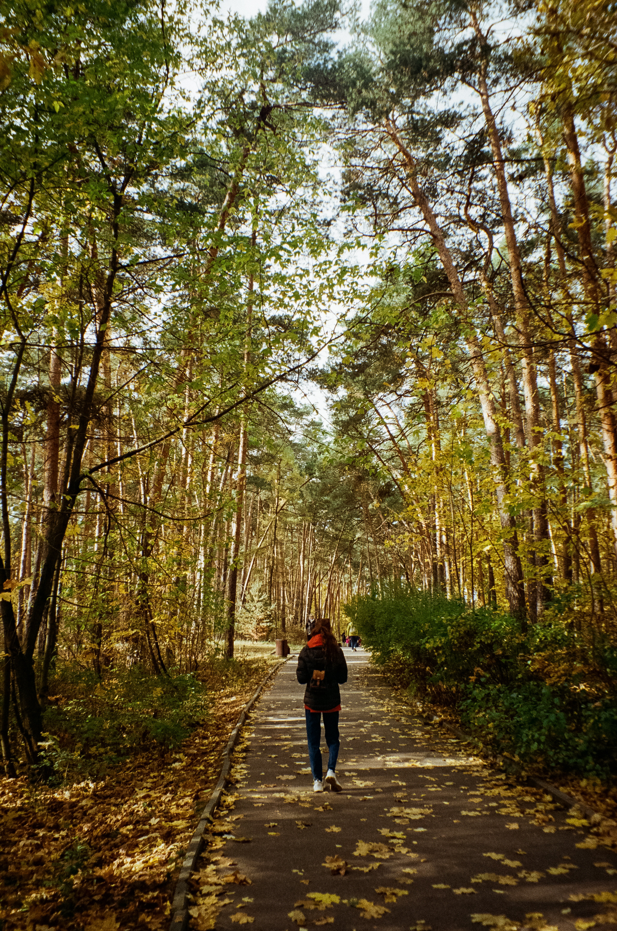 Осень на Kodak Gold 200