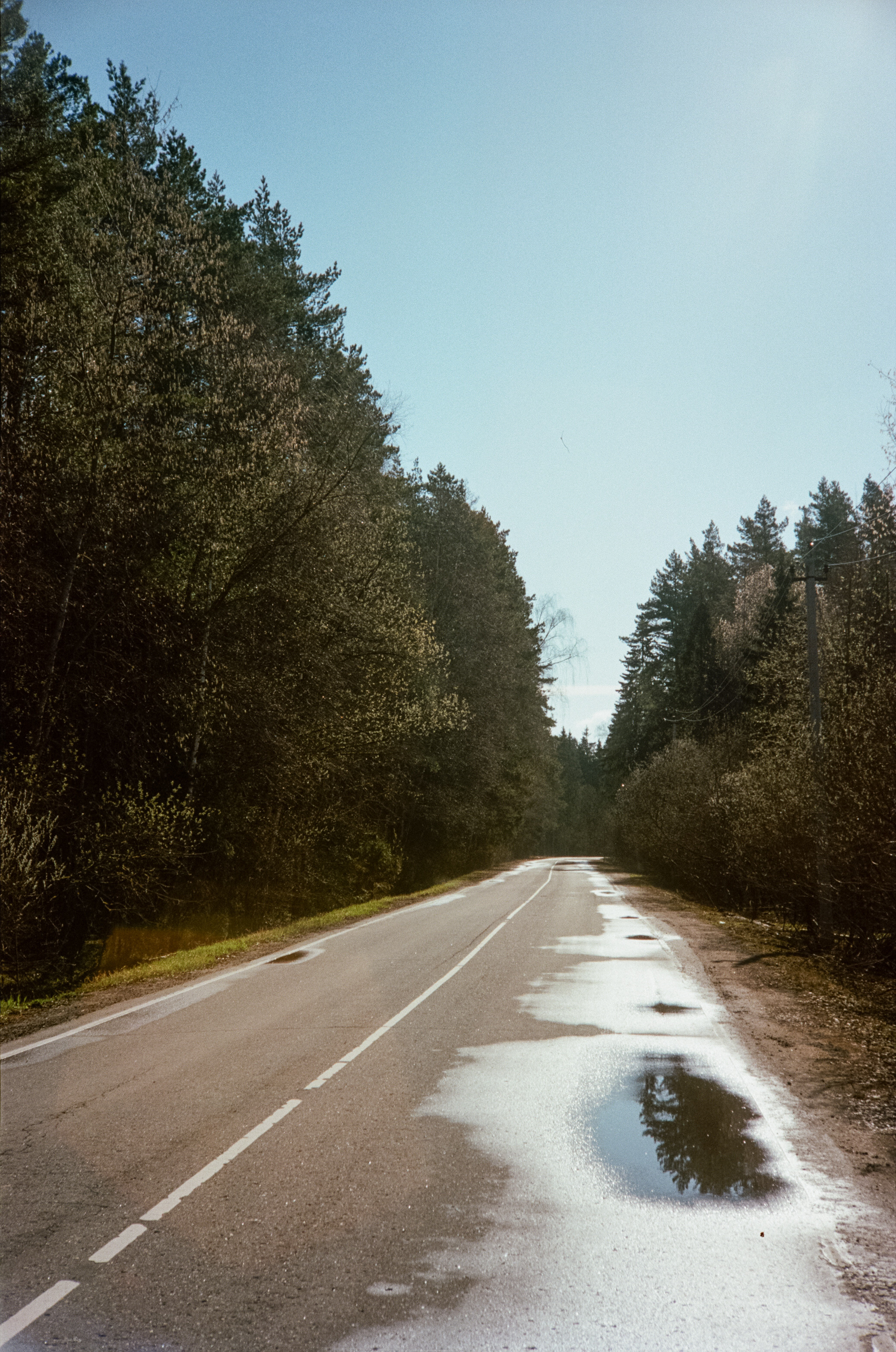 Kodak Portra 160 / Walz Envoy 35