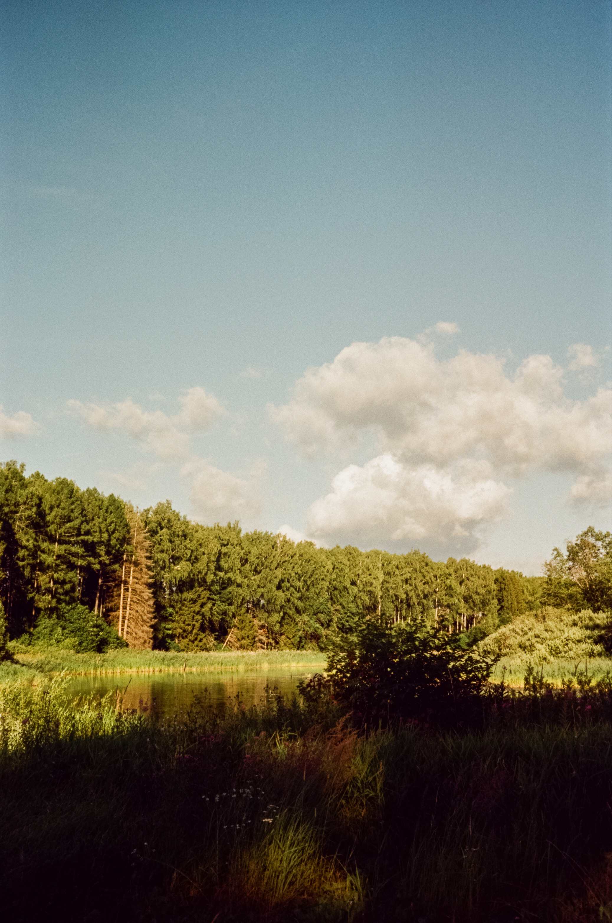 Canon Canonet QL17 G-III QL