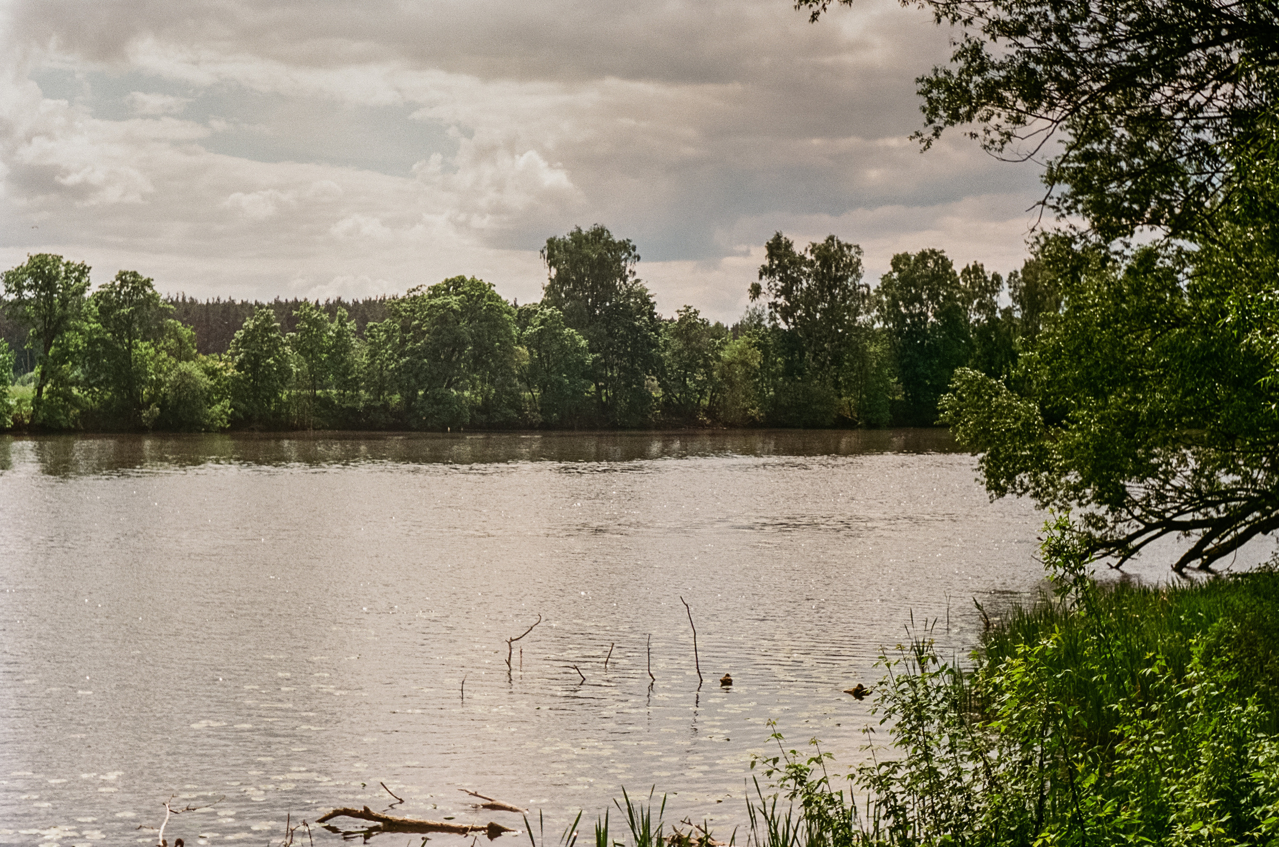 Edixa Reflex-D | Carl Zeiss Jena Biotar 58 mm f2.0 | SFA A-color 125