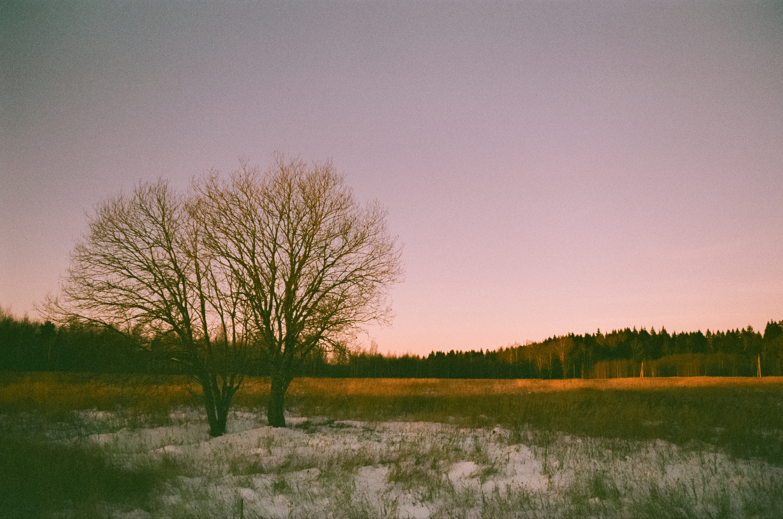 Закат на Konica Centuria Super 400