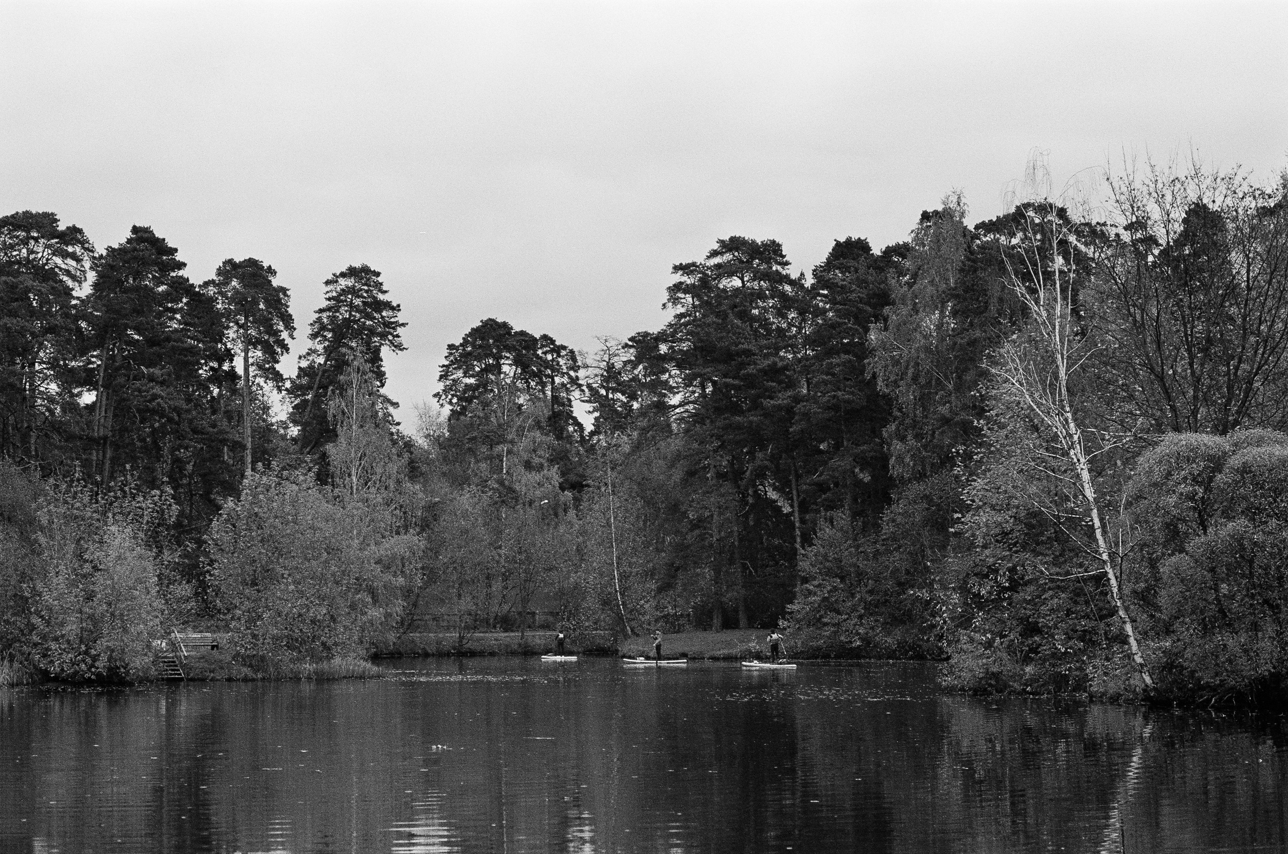 Minolta AF 85 mm f1.4 — Minolta Dynax 800si / Ilford HP5 Plus 400