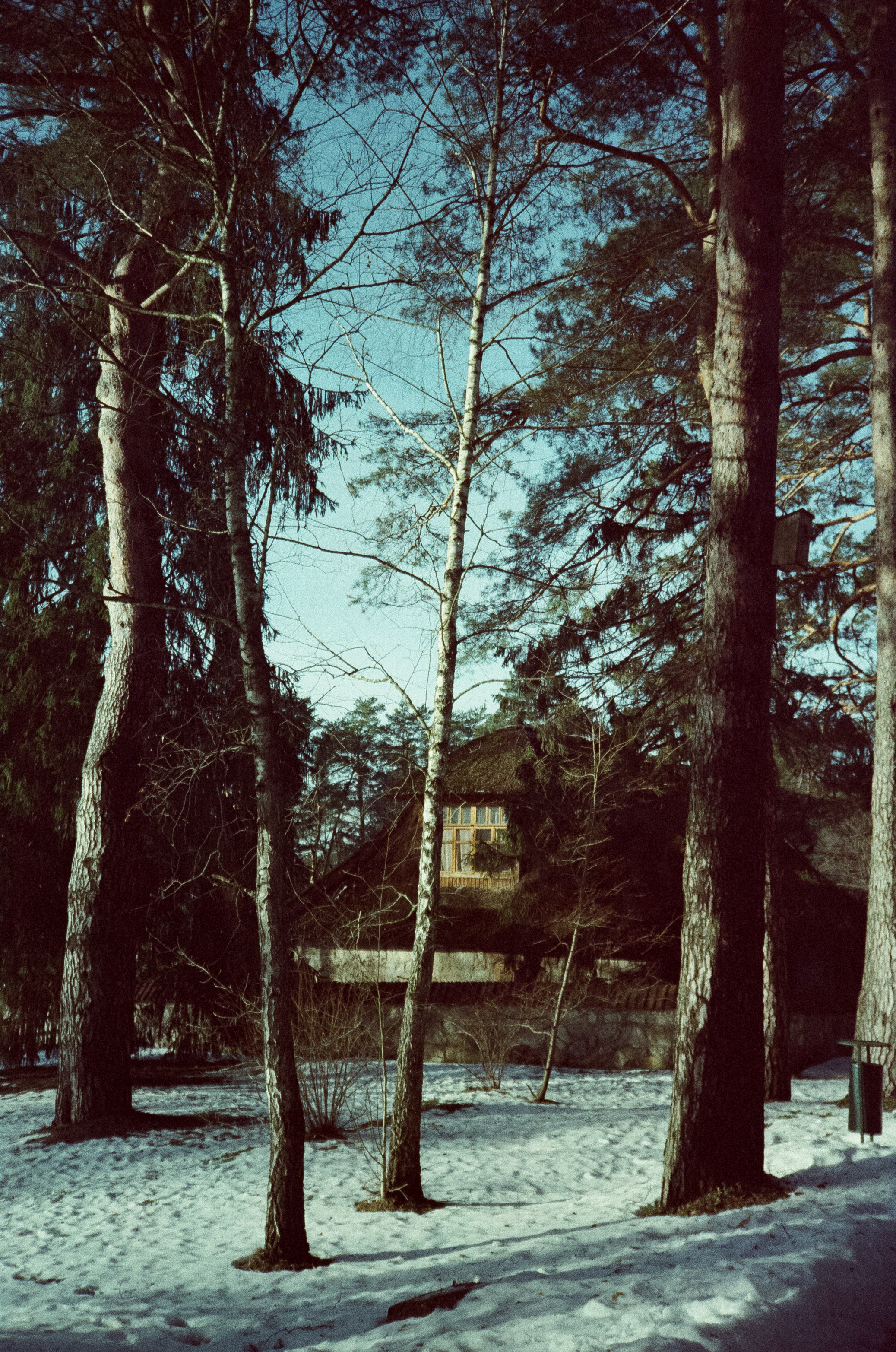 Примеры фотографий на Fuji DL-300 (Поленово)