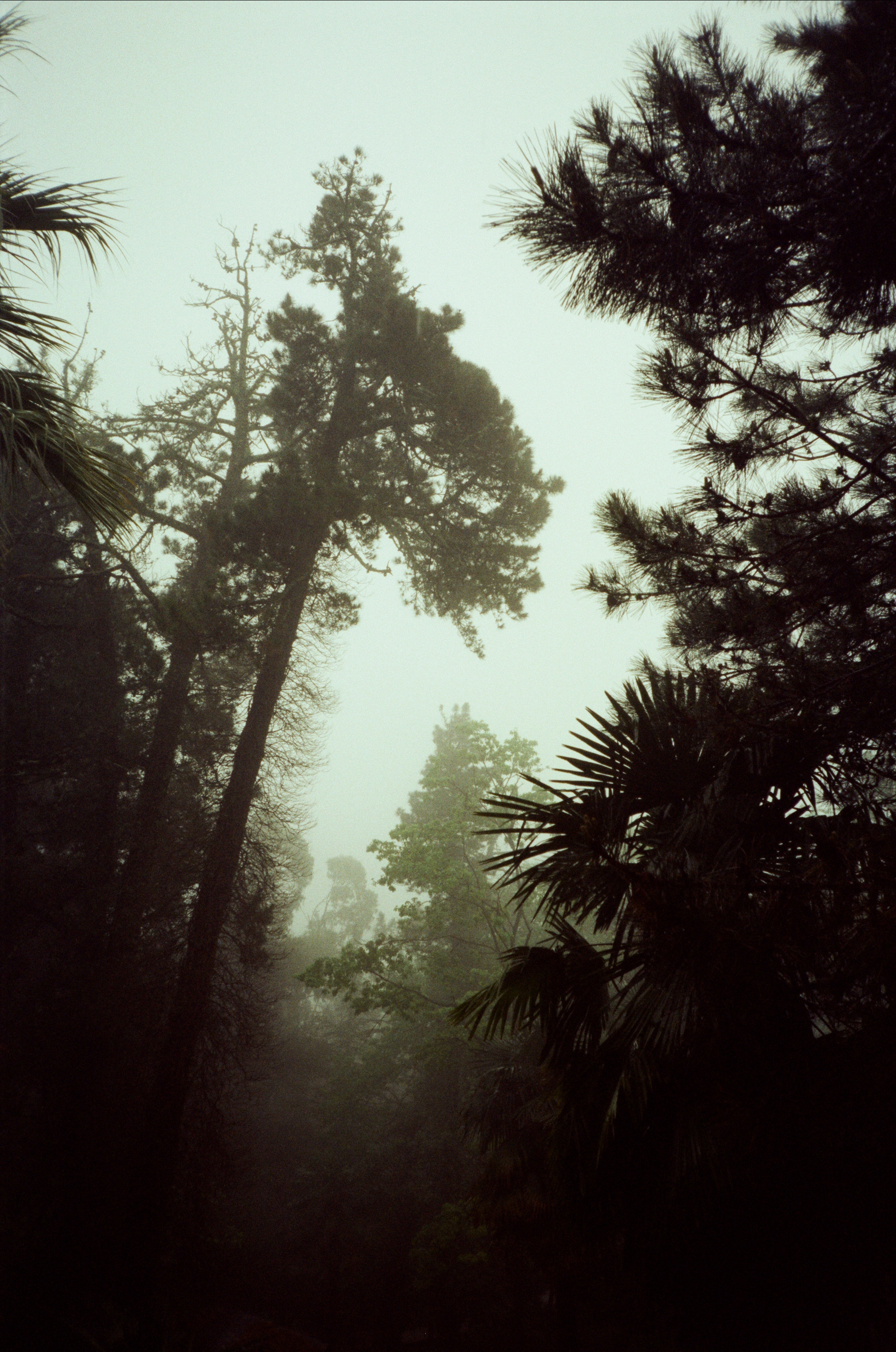 Дача Сталина и закаты в Сочи / Revue 35 CC