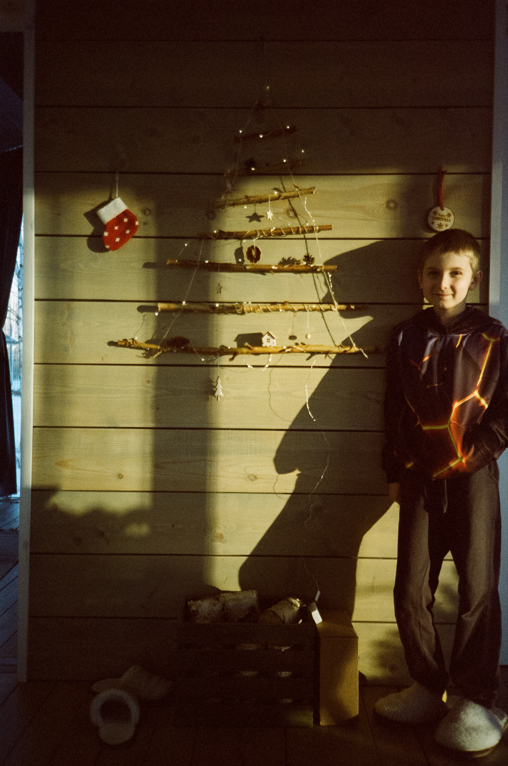 Hygge Dacha Велегож Парк на Fuji DL-300