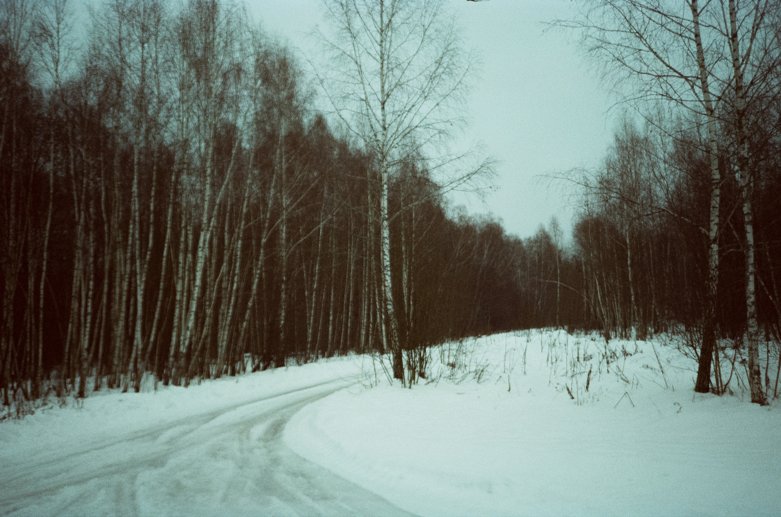 Примеры фотографий на Fuji DL-300 (Поленово)