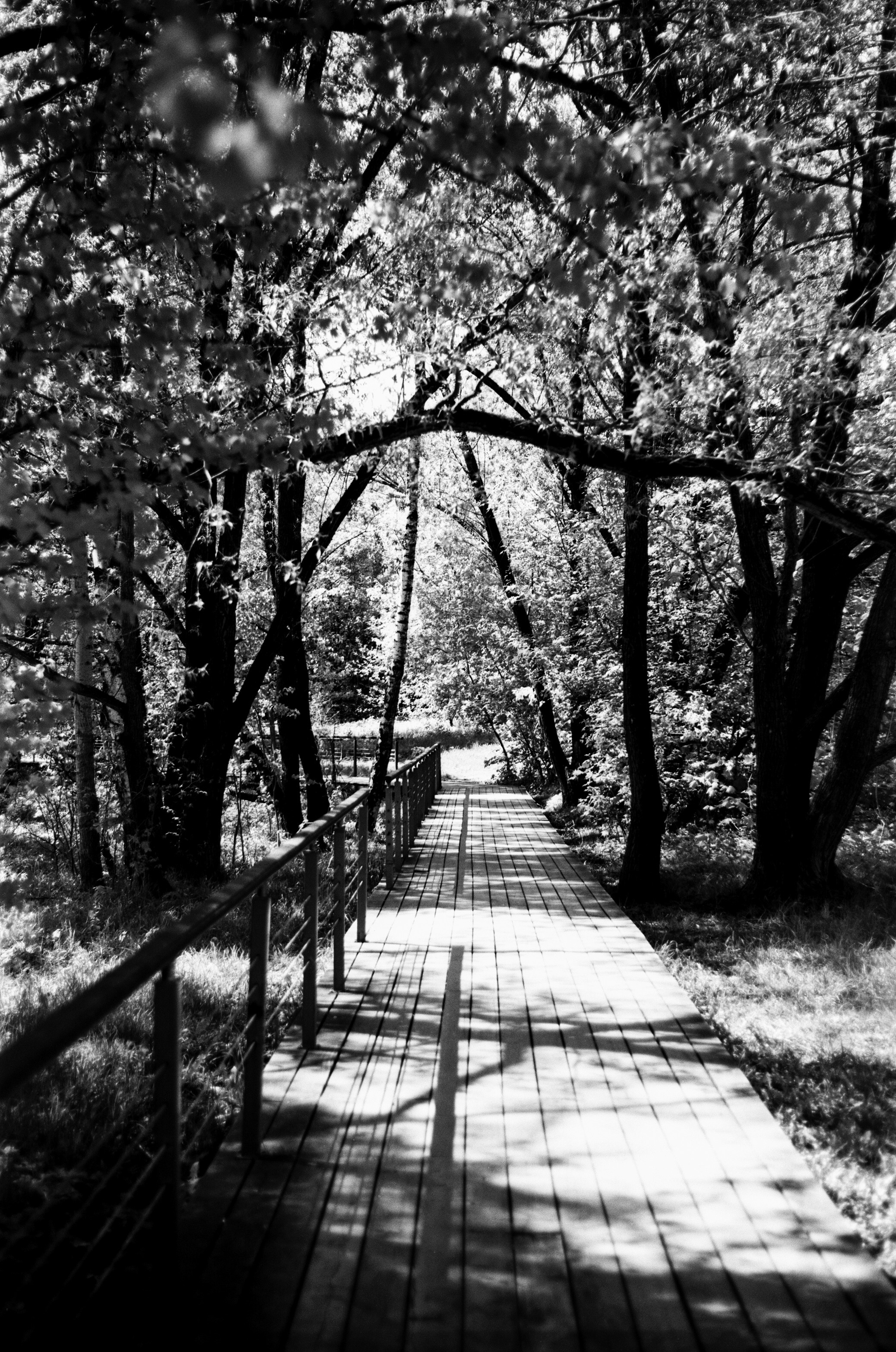 ADOX HR-50 обзор