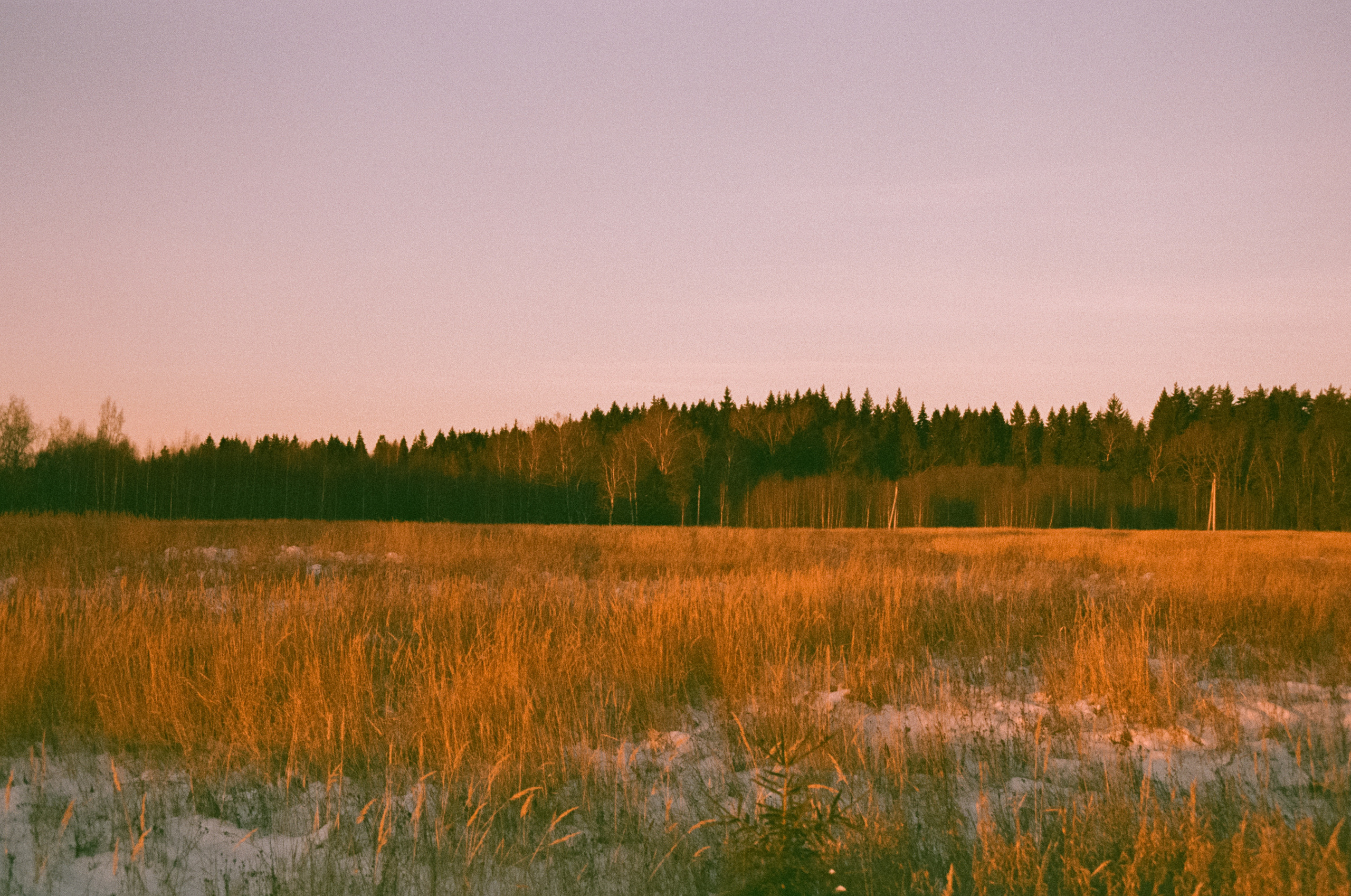 Закат на Konica Centuria Super 400