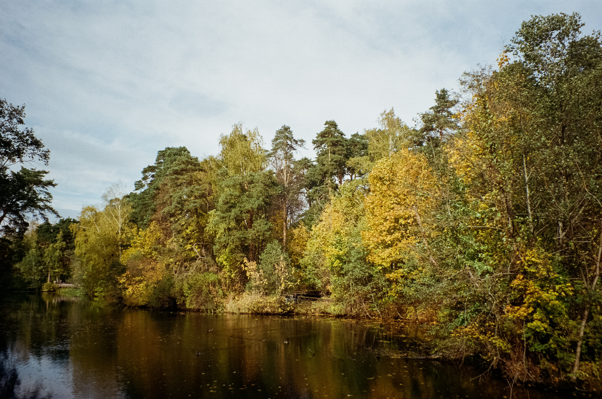 Осень на Kodak Gold 200