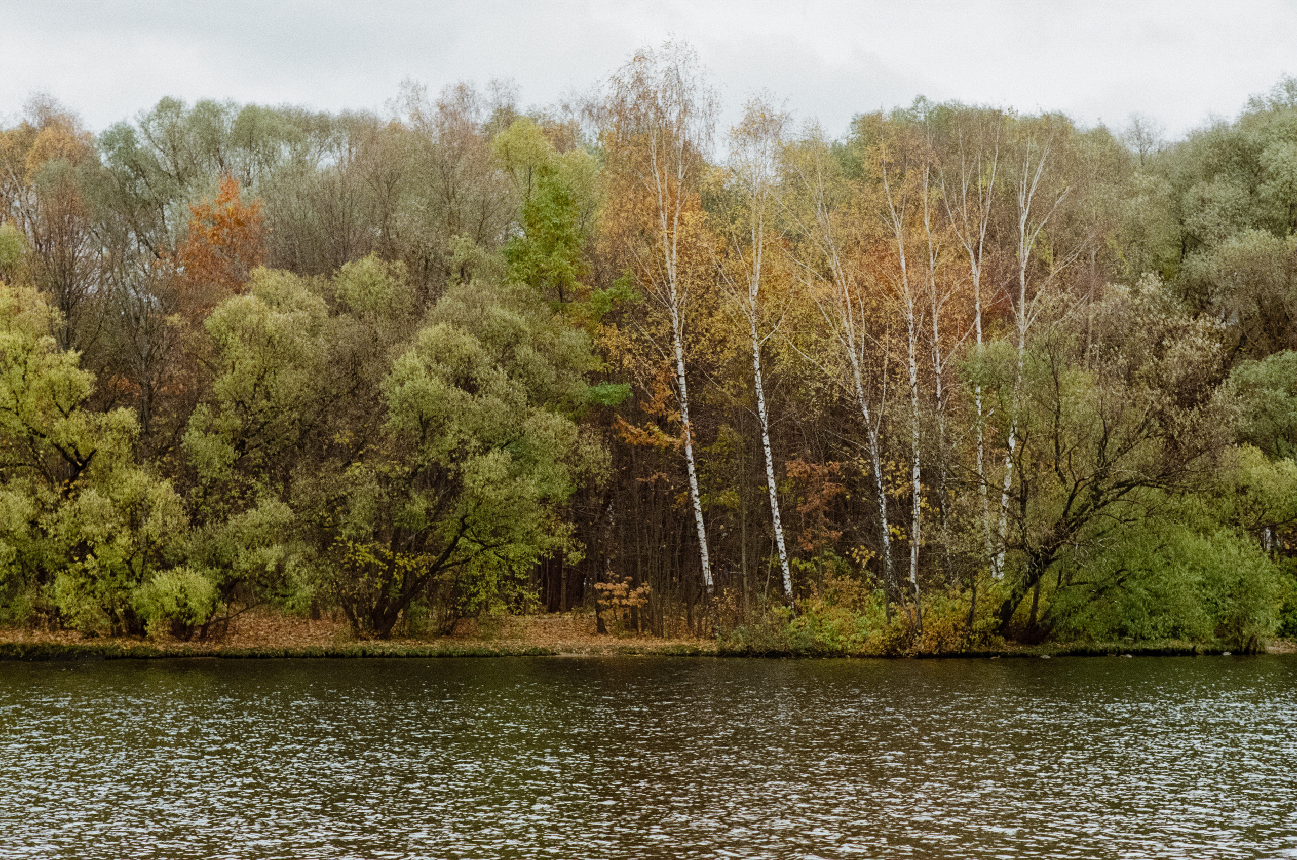 Московская осень на Kodak Gold 200