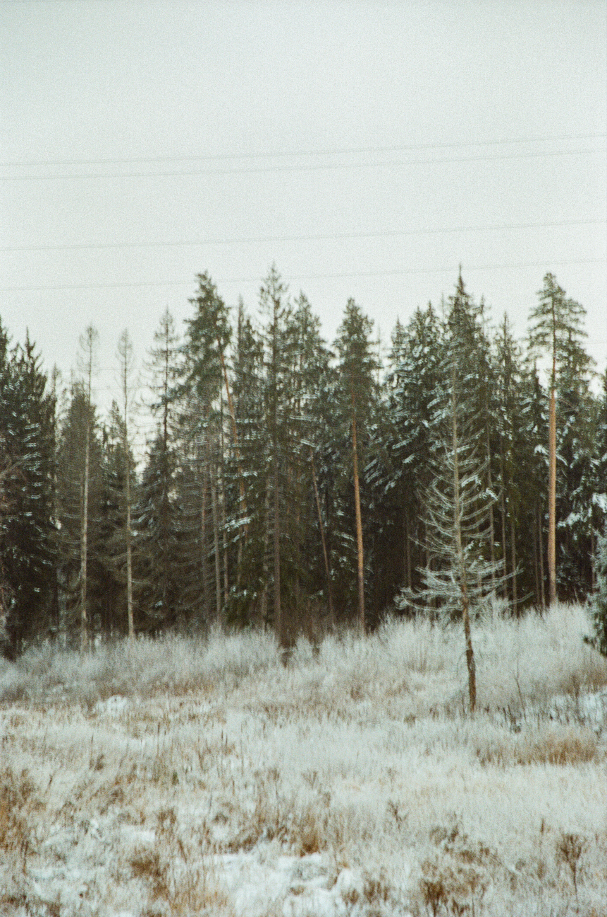 Contax N1 — Carl Zeiss Vario-Sonnar 24-85mm / Kodak Color 200