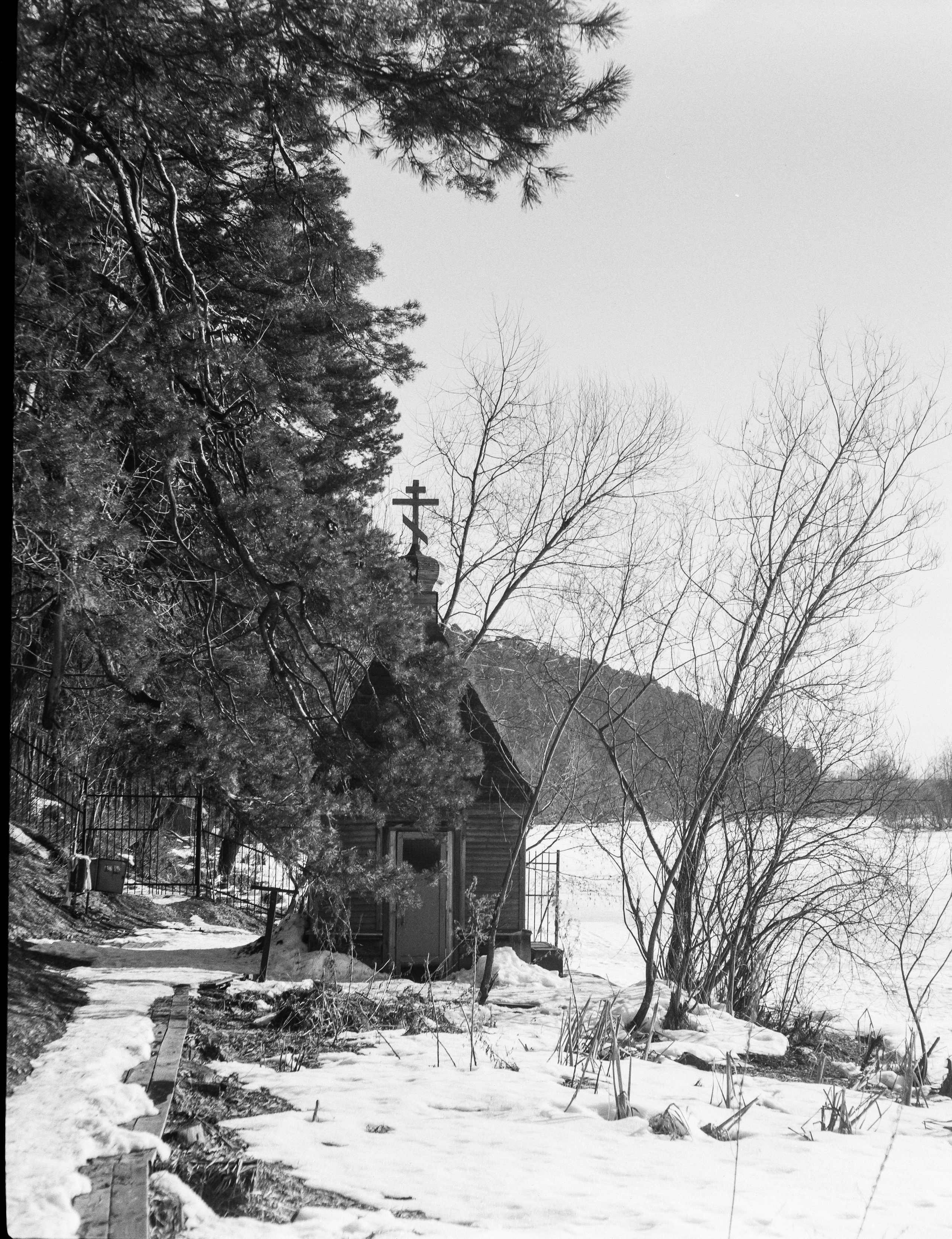 Ilford FP4 Plus ISO 125 / Zeiss Ikon Ikonta 521