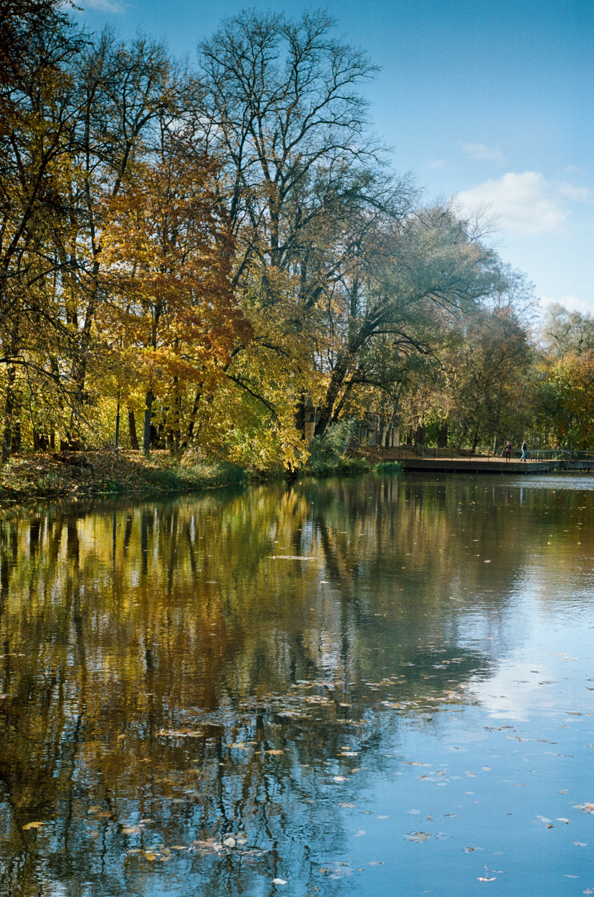 Enna Munchen Ennalyt 50mm f1.9 примеры фотографий