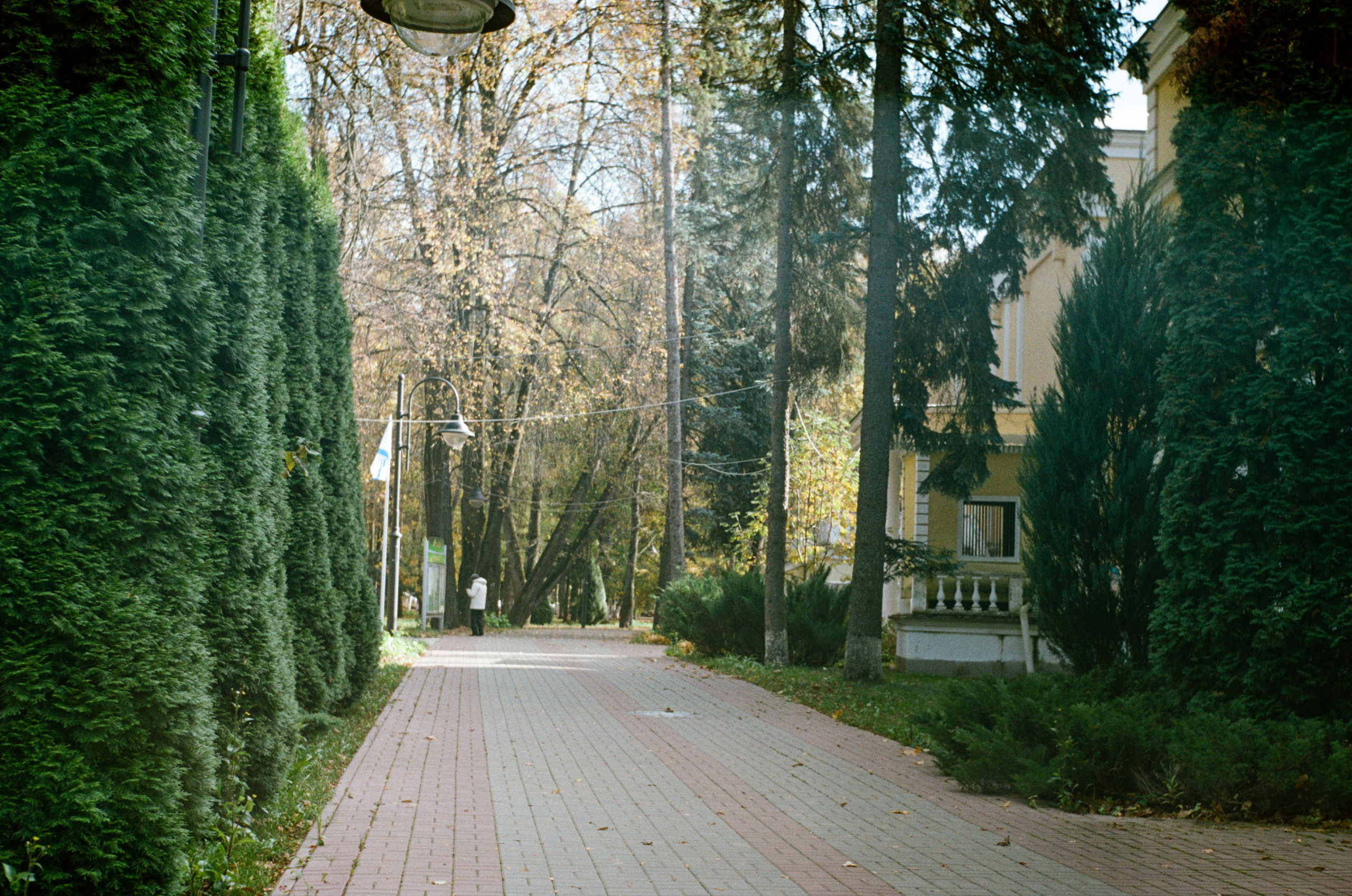 Enna Munchen Ennalyt 50mm f1.9 review