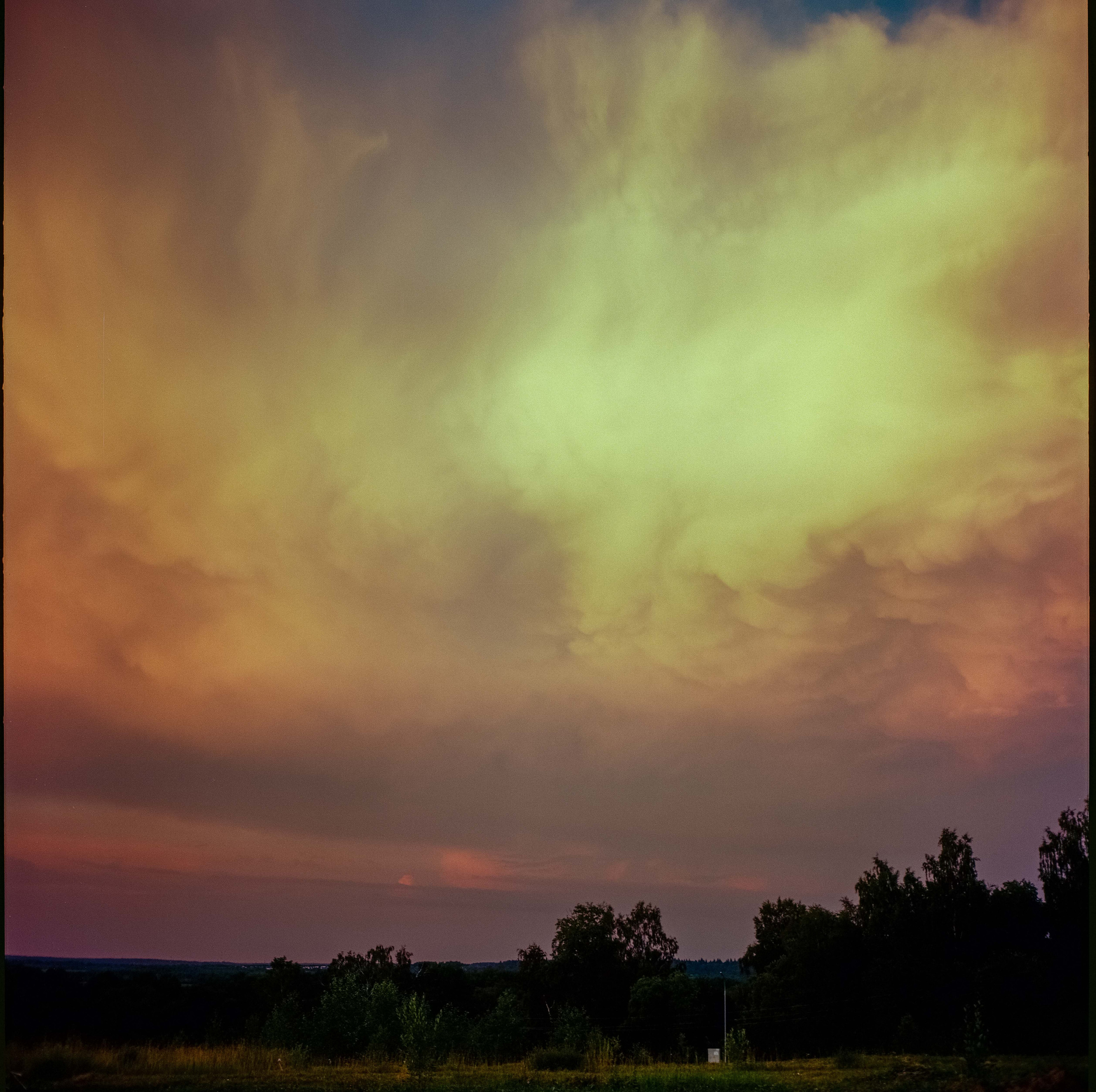 Yashica Mat-124 / Kodak Ektar 100