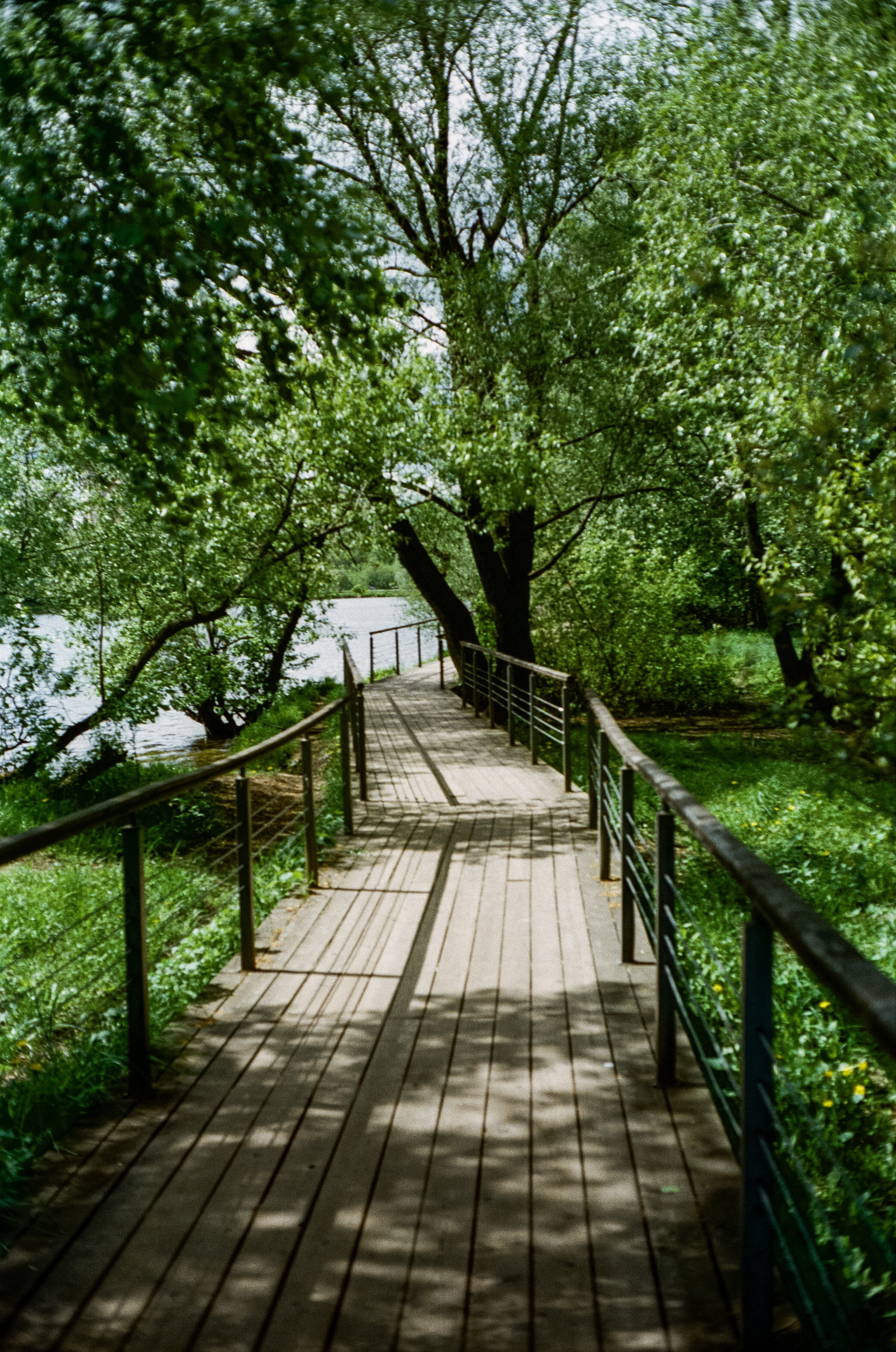 Minolta Hi-Matic 7sII