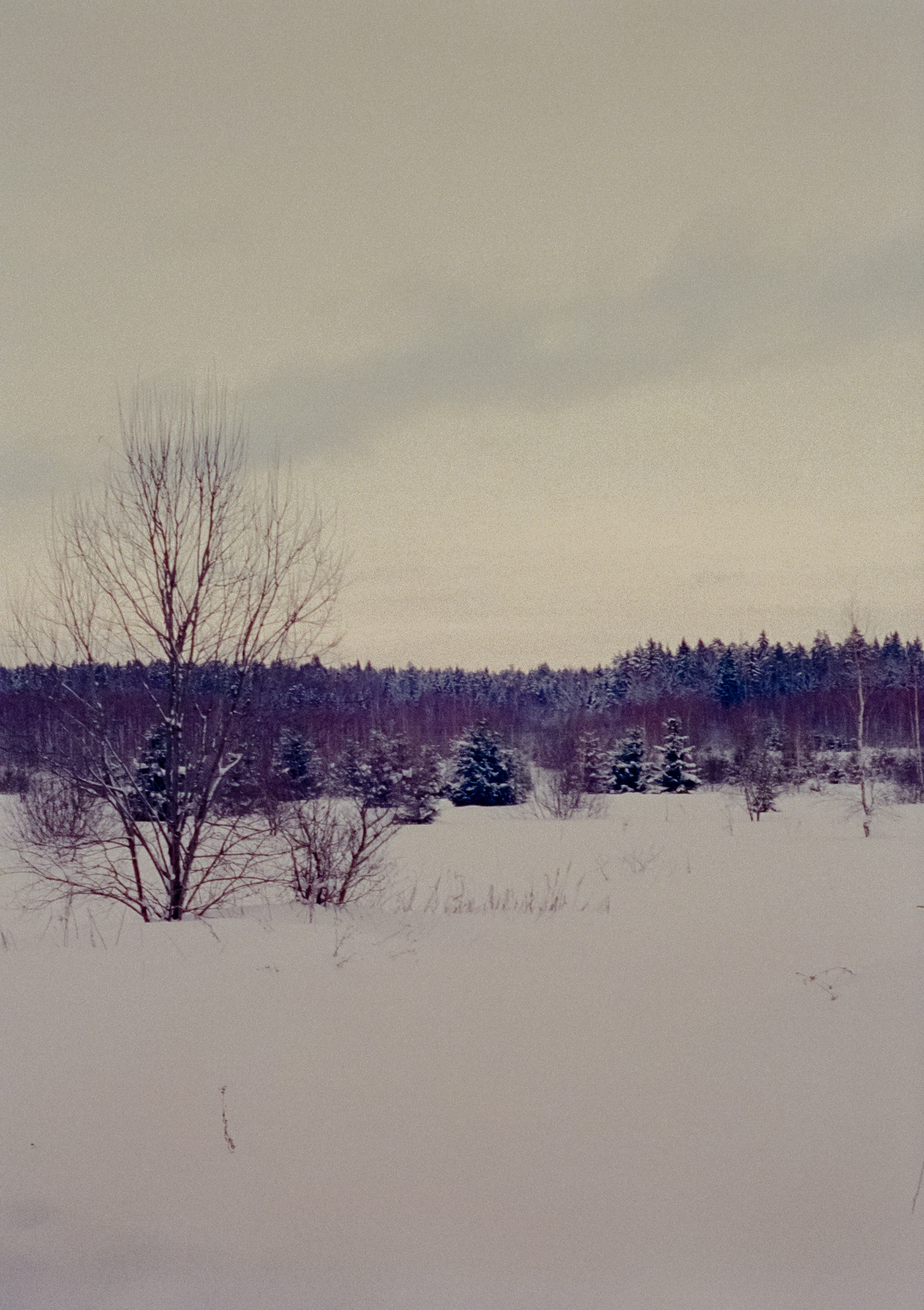 Olympus Pen EED / Kodak Vision 3 500T