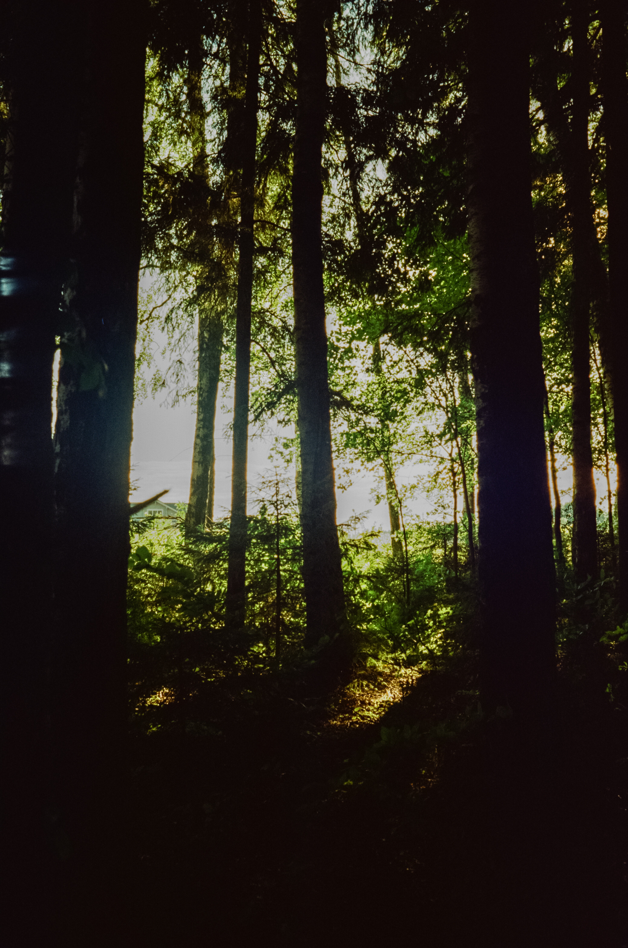 Canon Canonet QL17 G-III QL