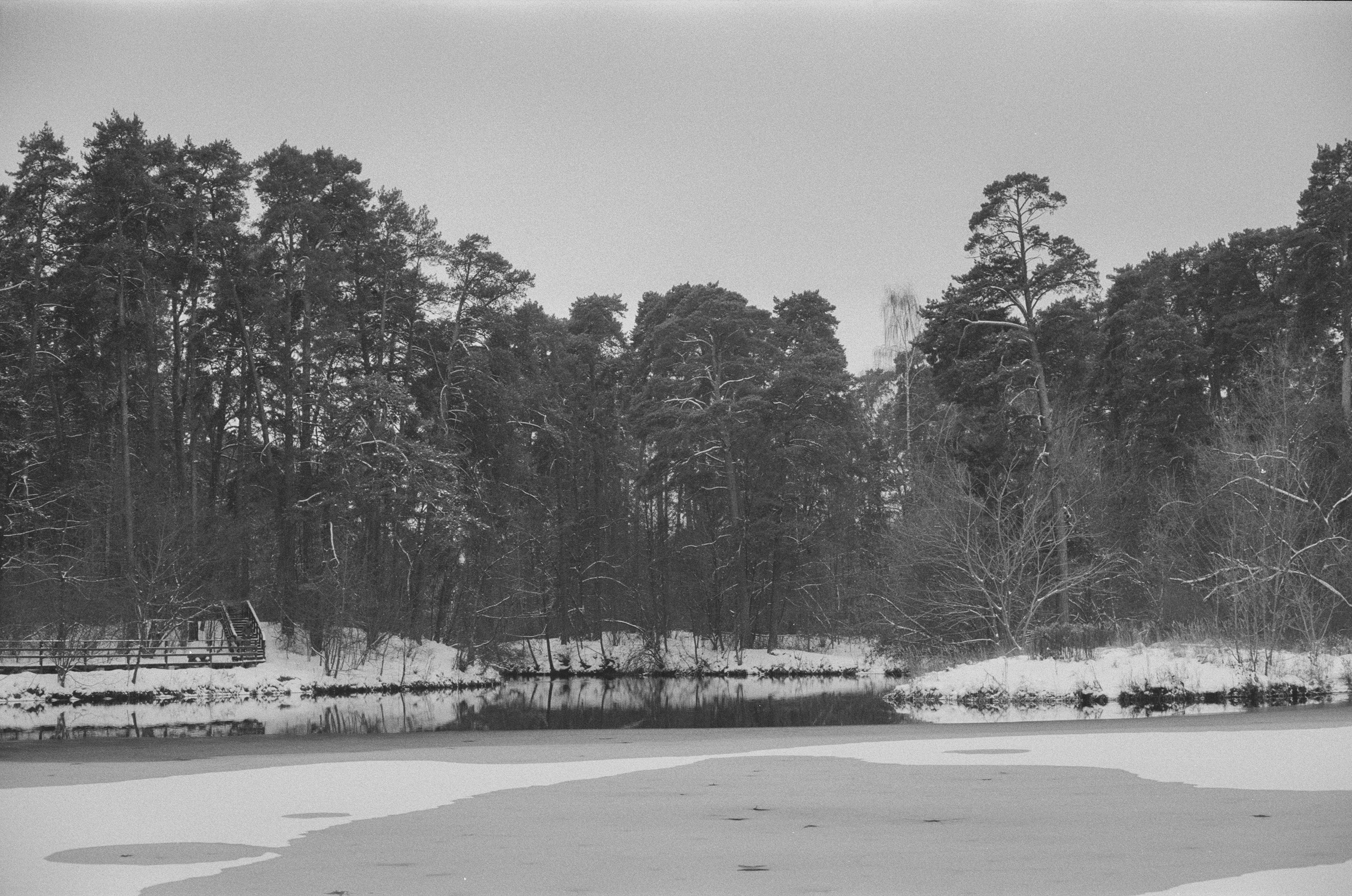 Konica III M / AgfaPhoto APX 400