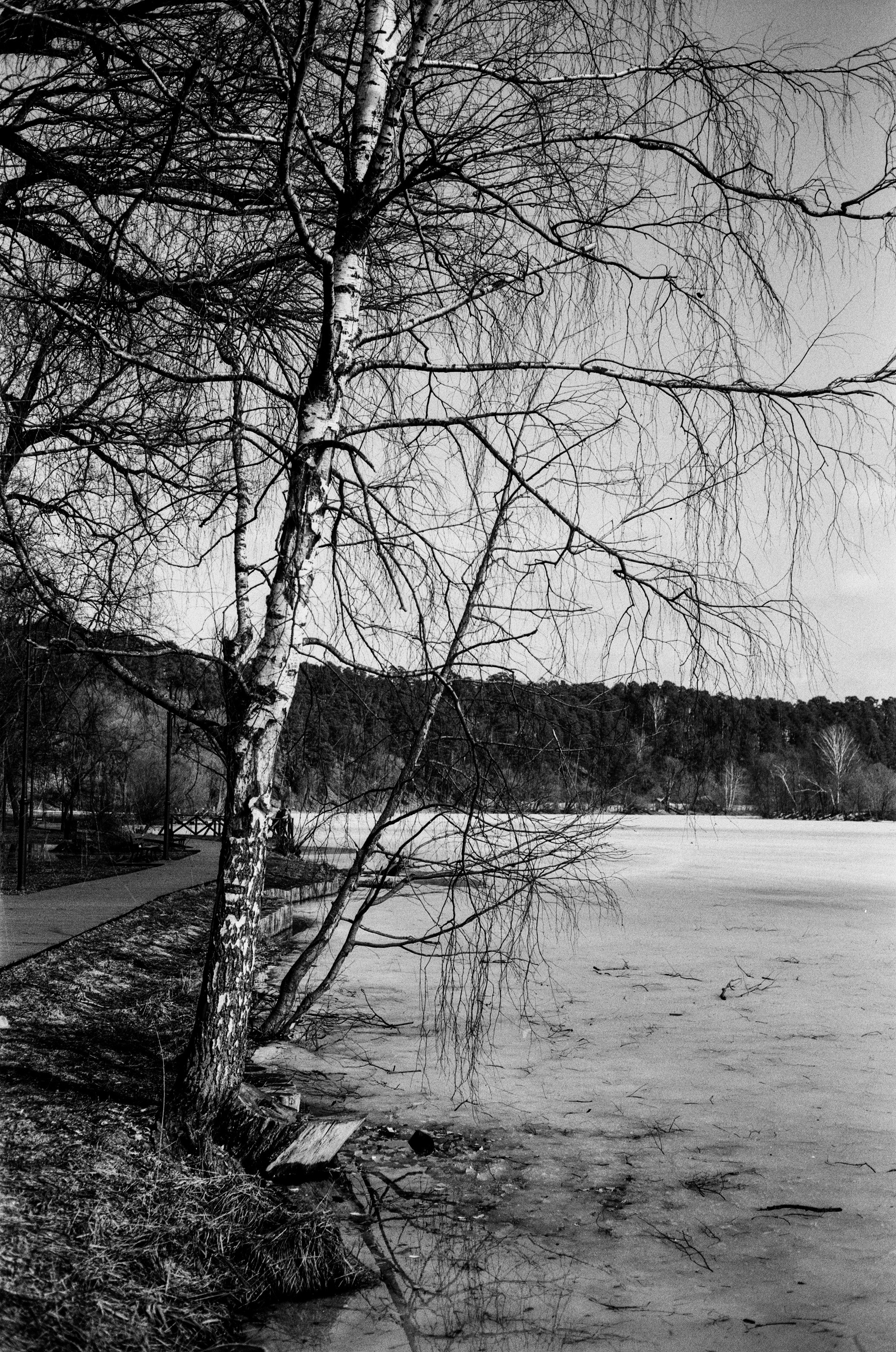 Minolta V2 / ТАСМА Тип-25