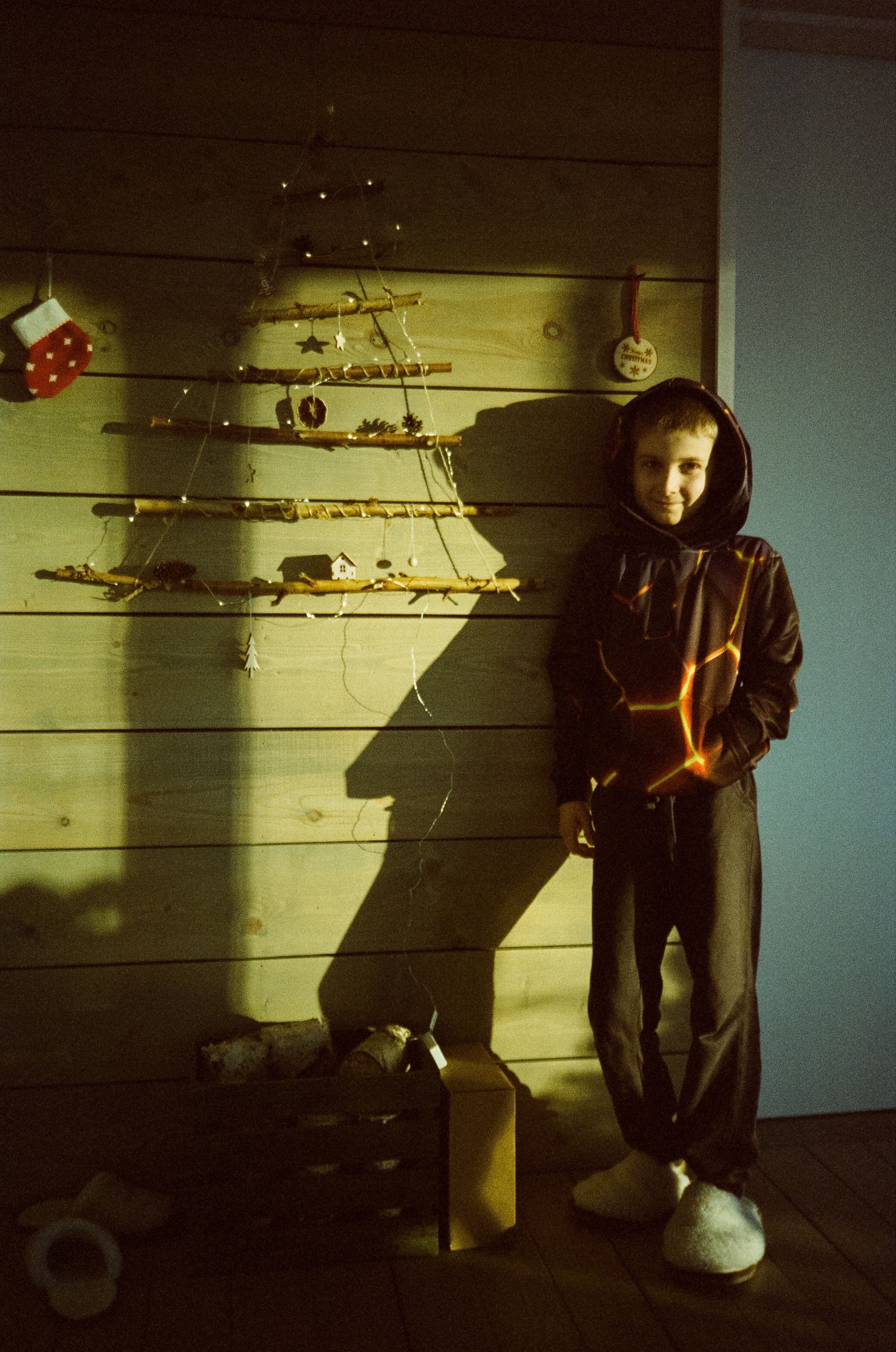 Hygge Dacha Велегож Парк на Fuji DL-300