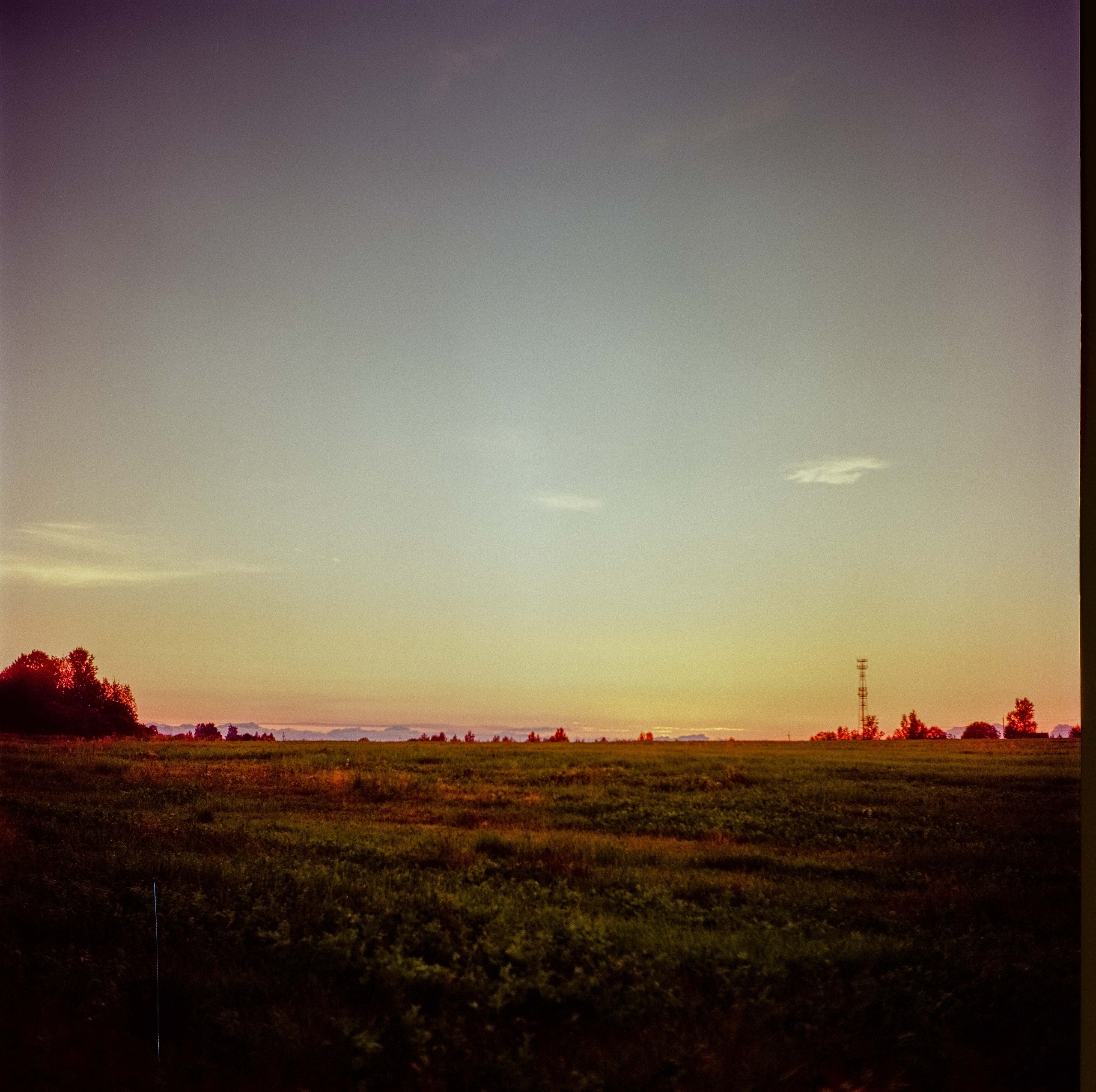 Yashica Mat-124 / Kodak Ektar 100