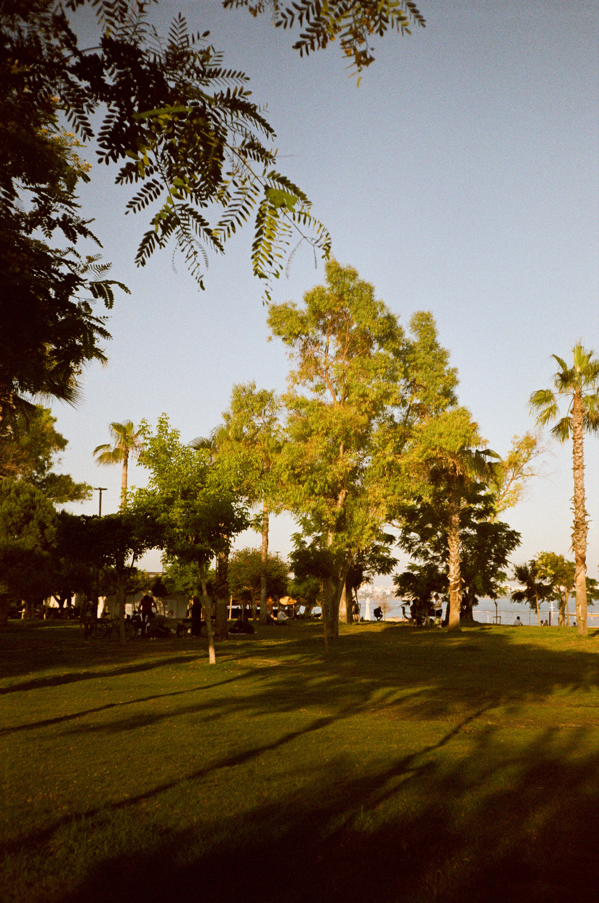 Набережная Антальи на просроченную пленку Kodak Gold 200