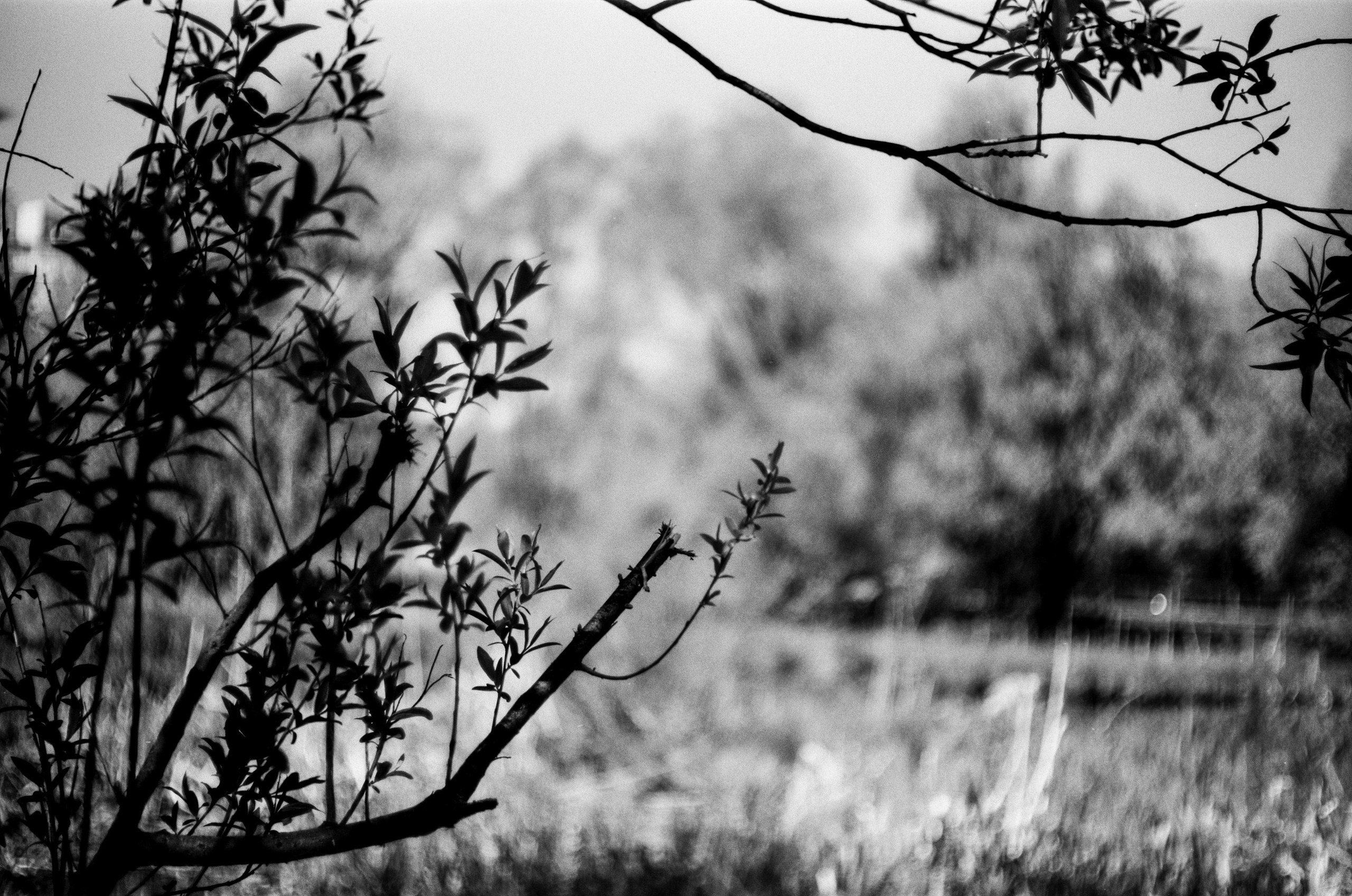 ADOX HR-50 обзор