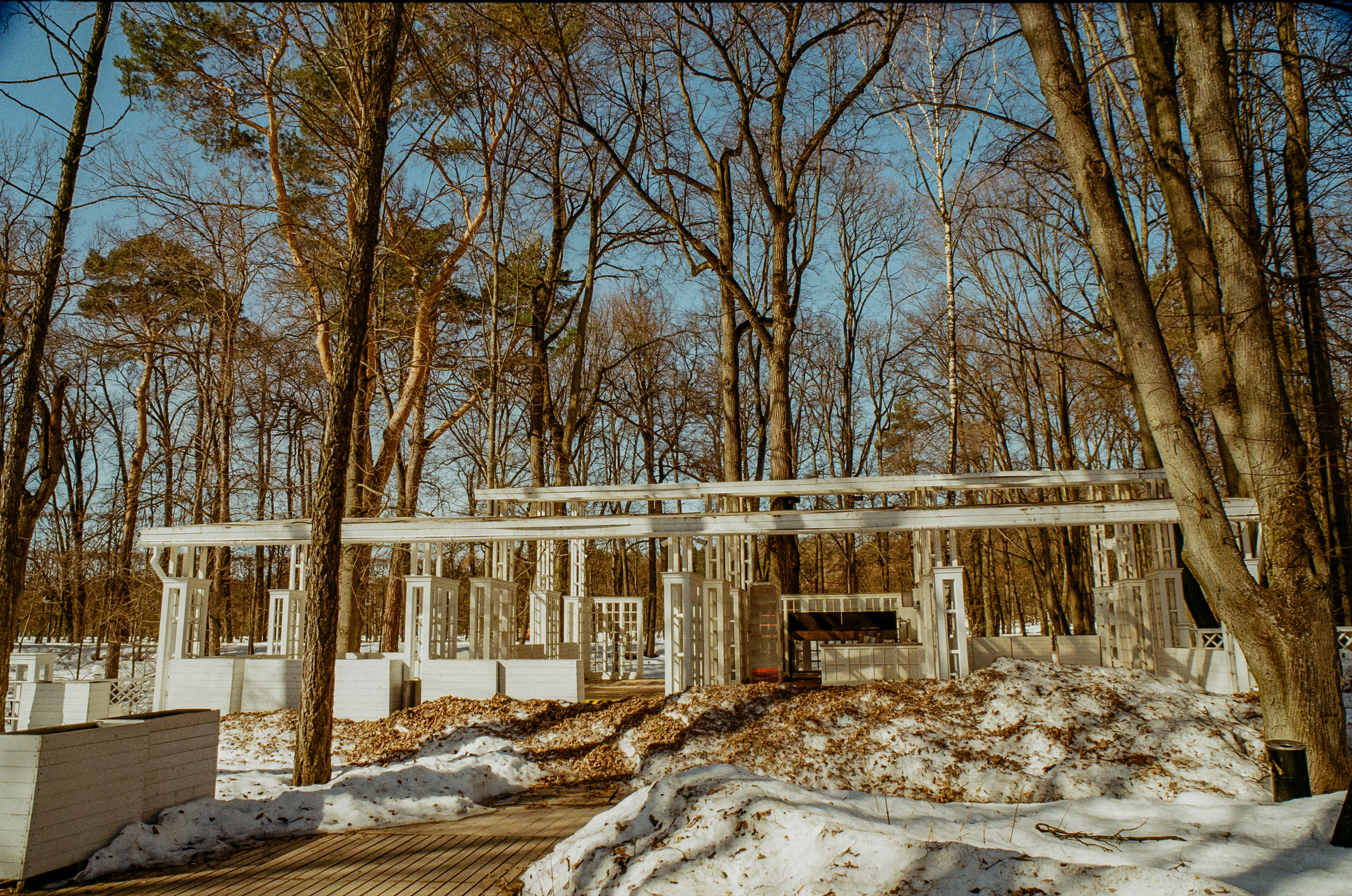 Kodak Ektar 100 / Contax N1