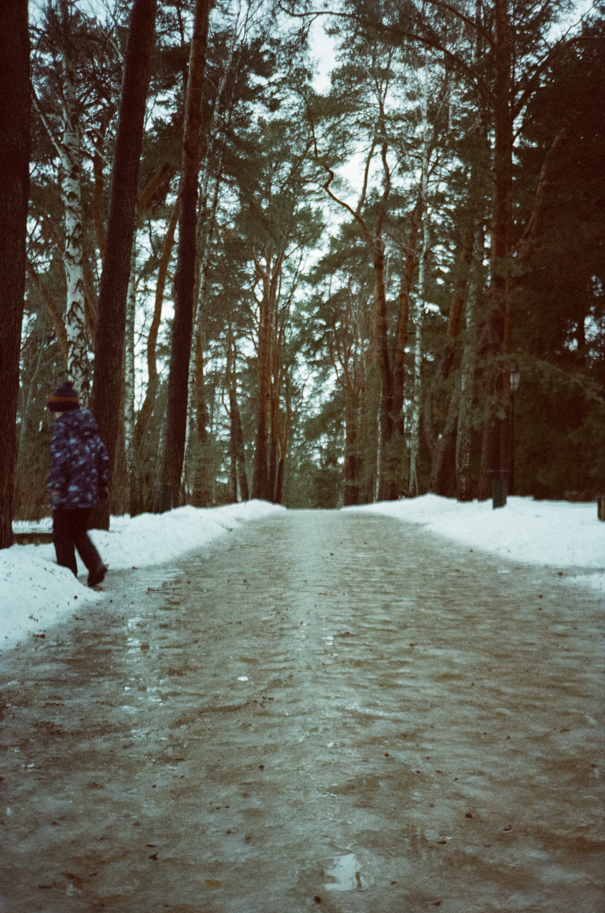 Примеры фотографий на Fuji DL-300 (Поленово)