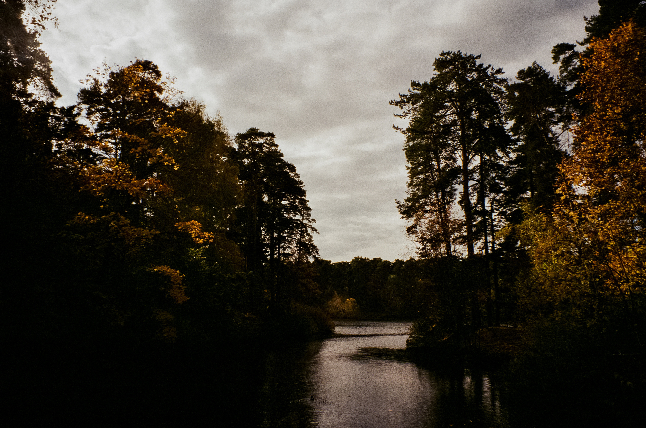 Осень на Kodak Gold 200